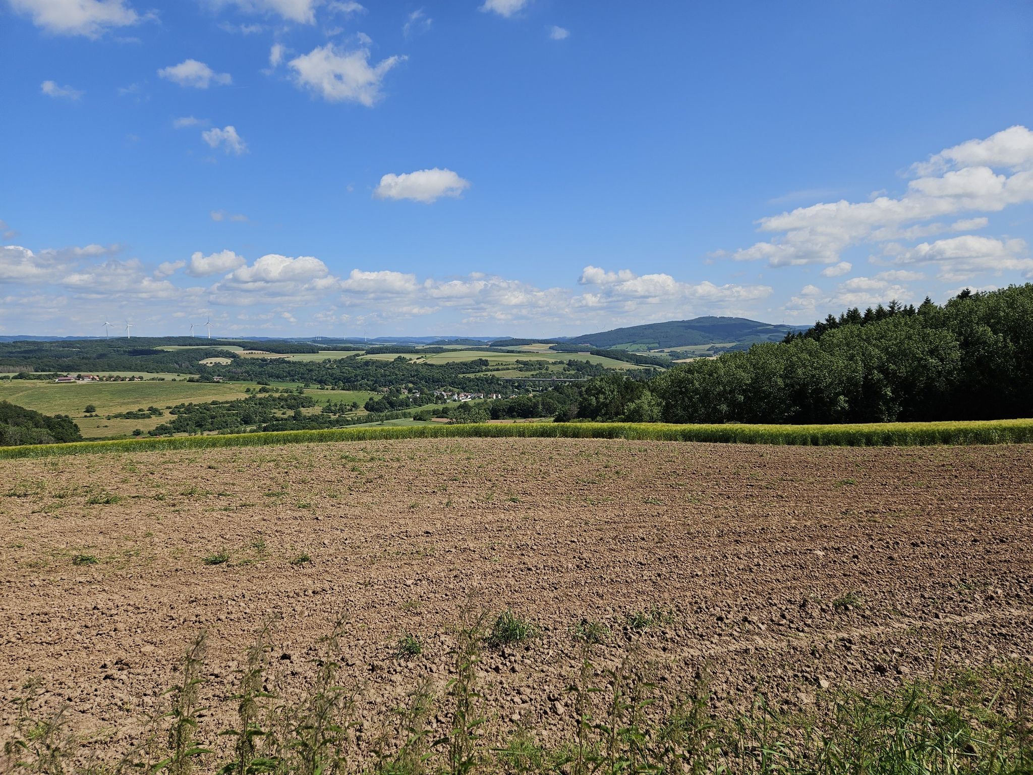 Potzbergblick