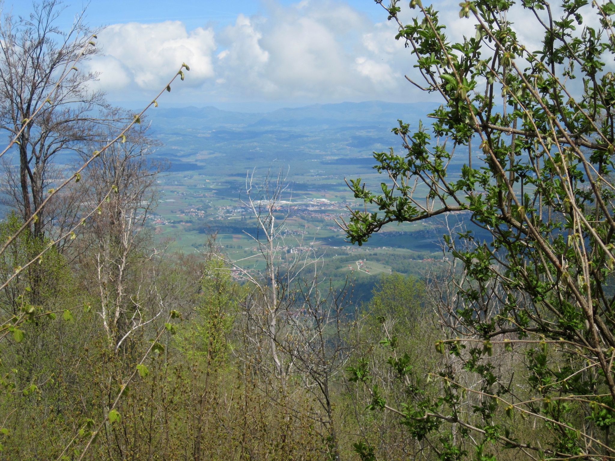 Dolenjska