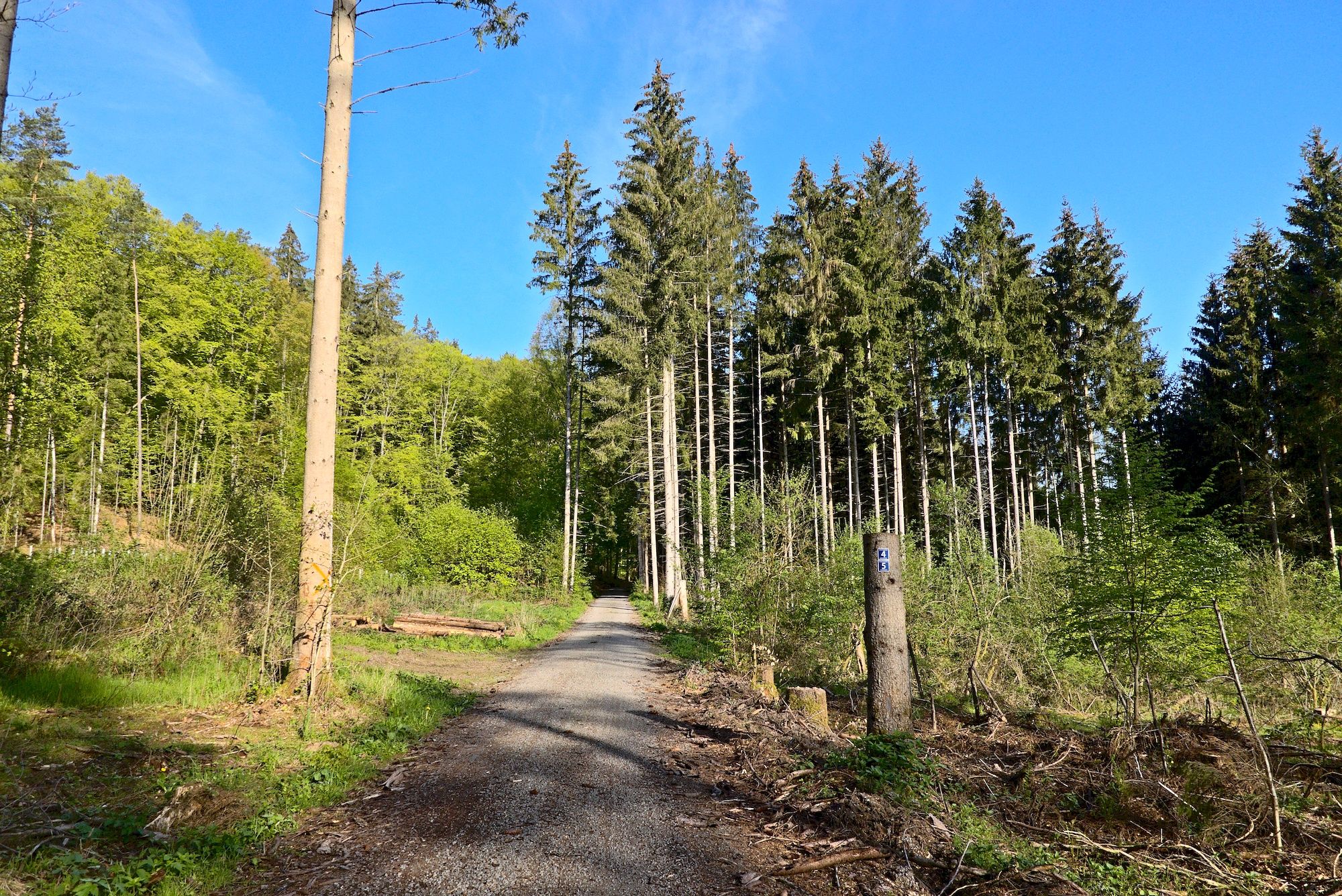 Tolle Strecke durchs Premichtal