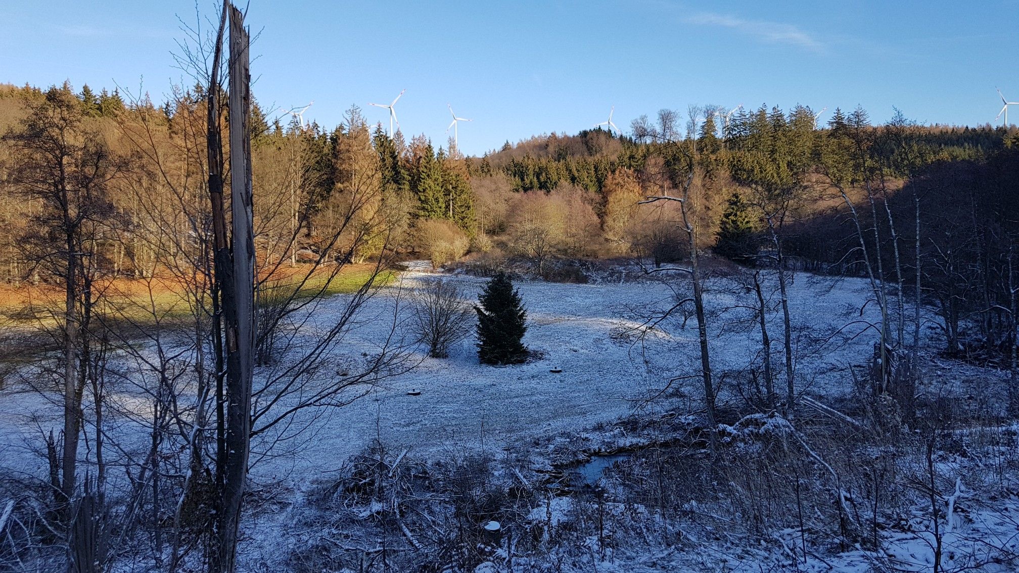 Gläsnertal bei Nieste