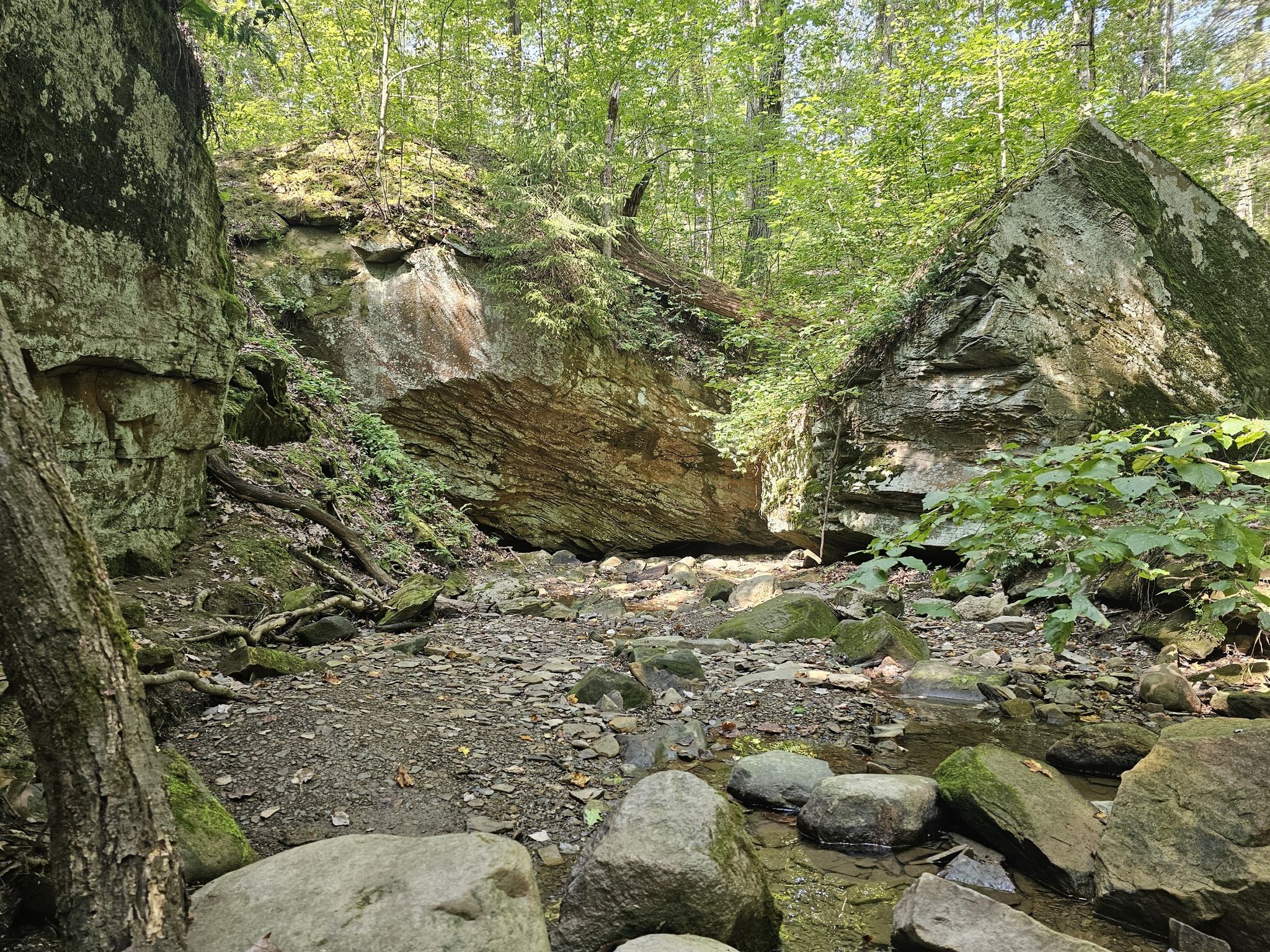 Rocky stream bed surrounded by large rock formations and green forest. - Deer Lick Cave – Jaite Mill Historic District loop from Parma