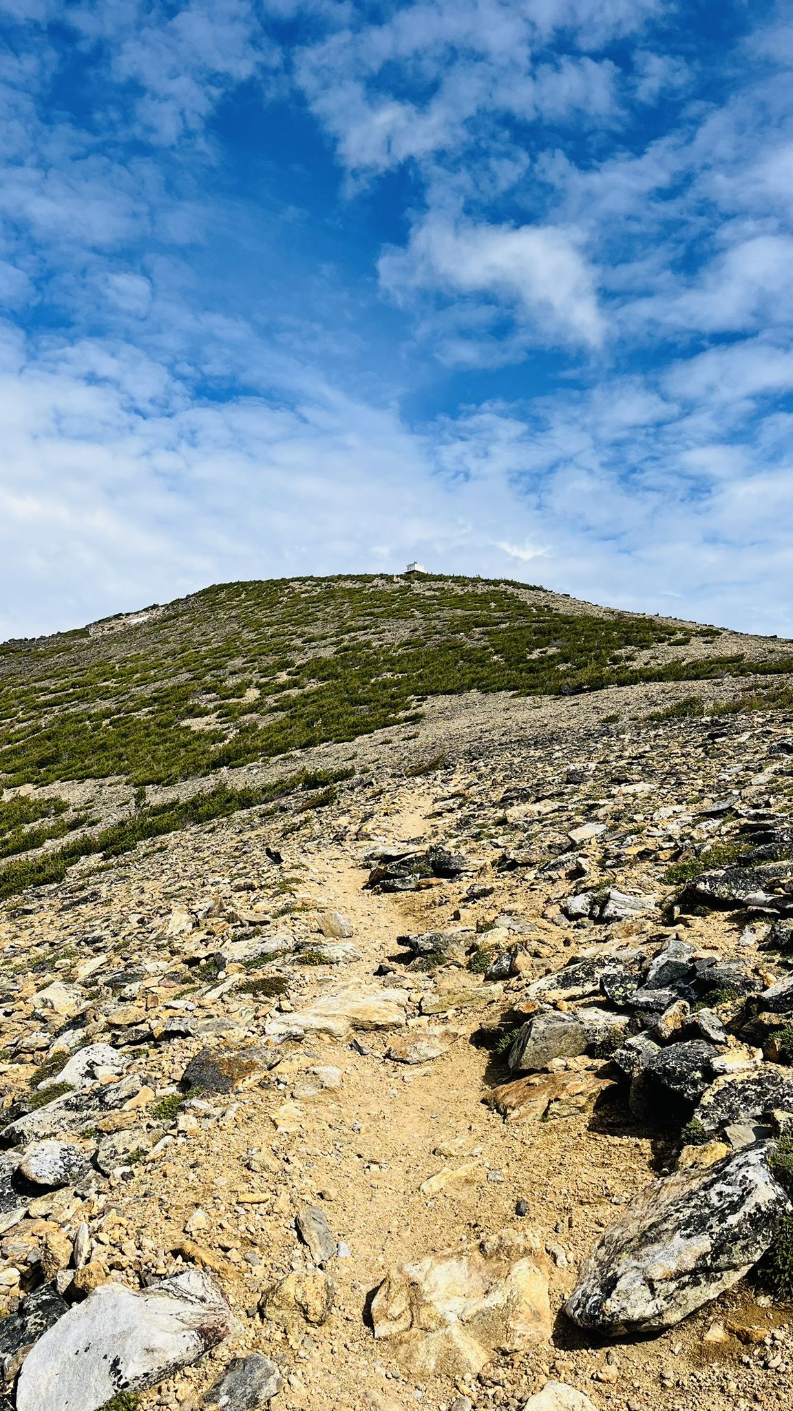 Rocky uphill path leading to a green, cloud-covered mountain under a bright sky. - Saint Marys Peak Trail