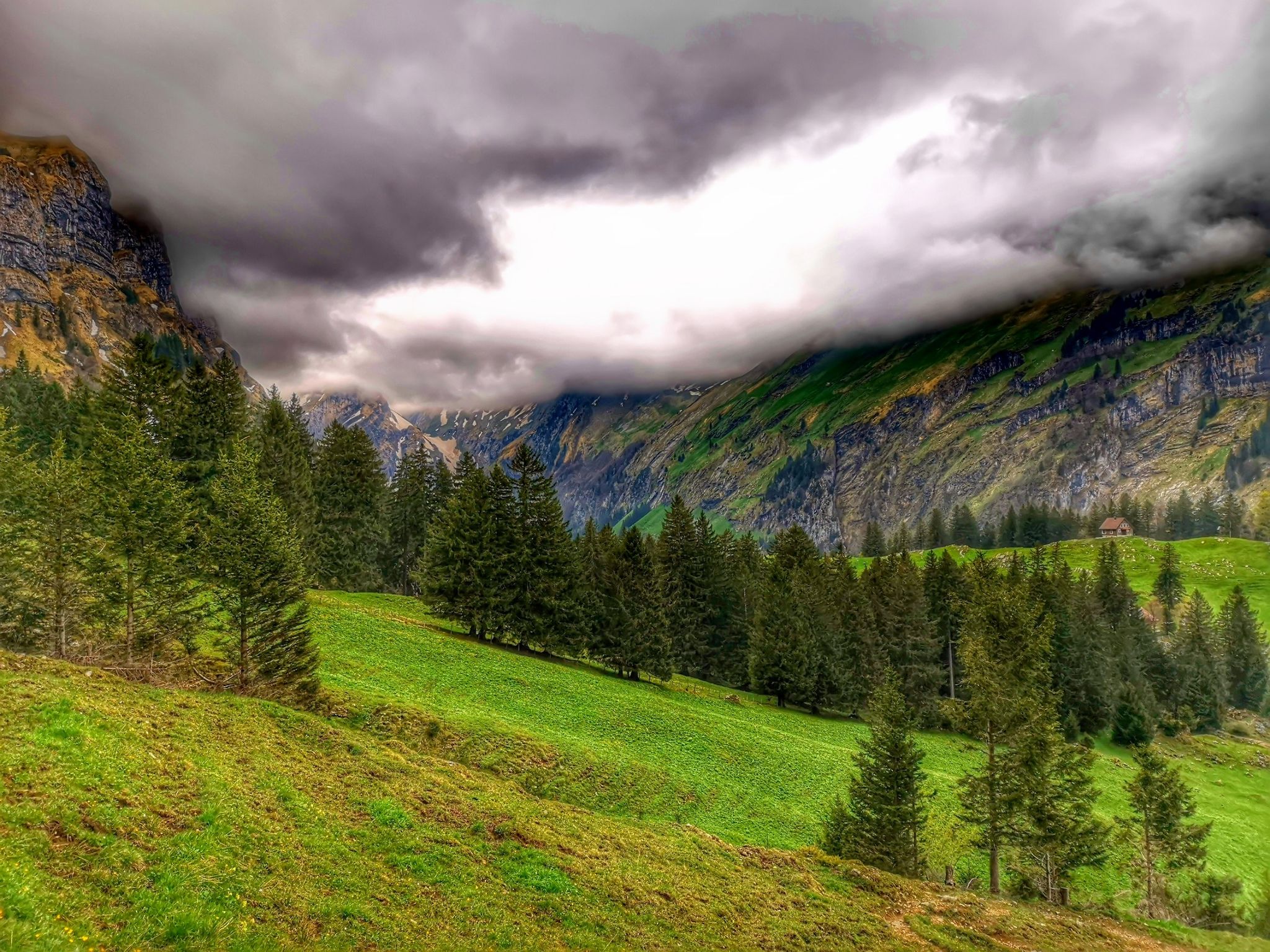 Blick rüber zur Ebenalp/Altenalp und Säntis, ebenfalls im Nebel