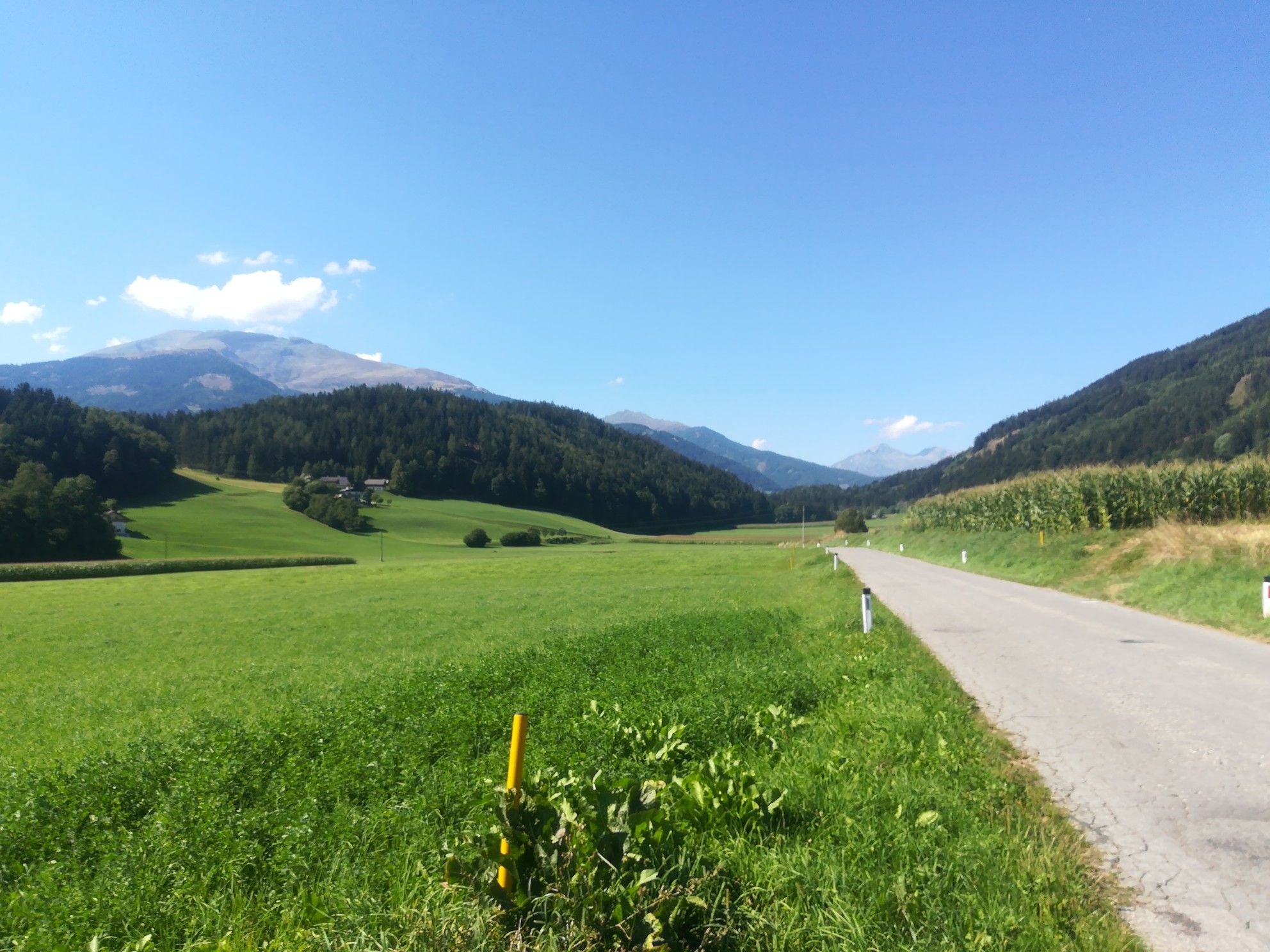 Bei Treffling