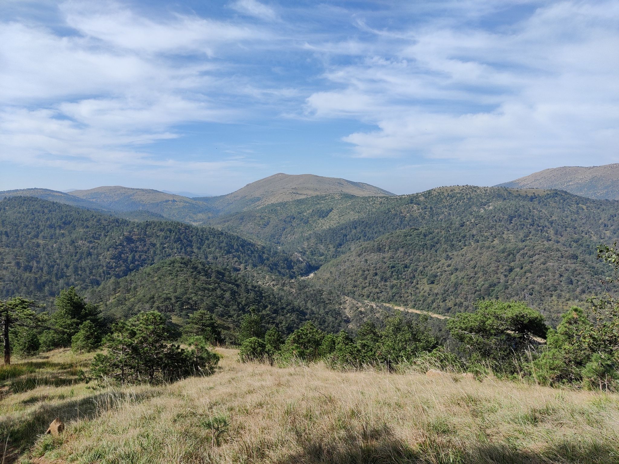 Bosco di Guana
