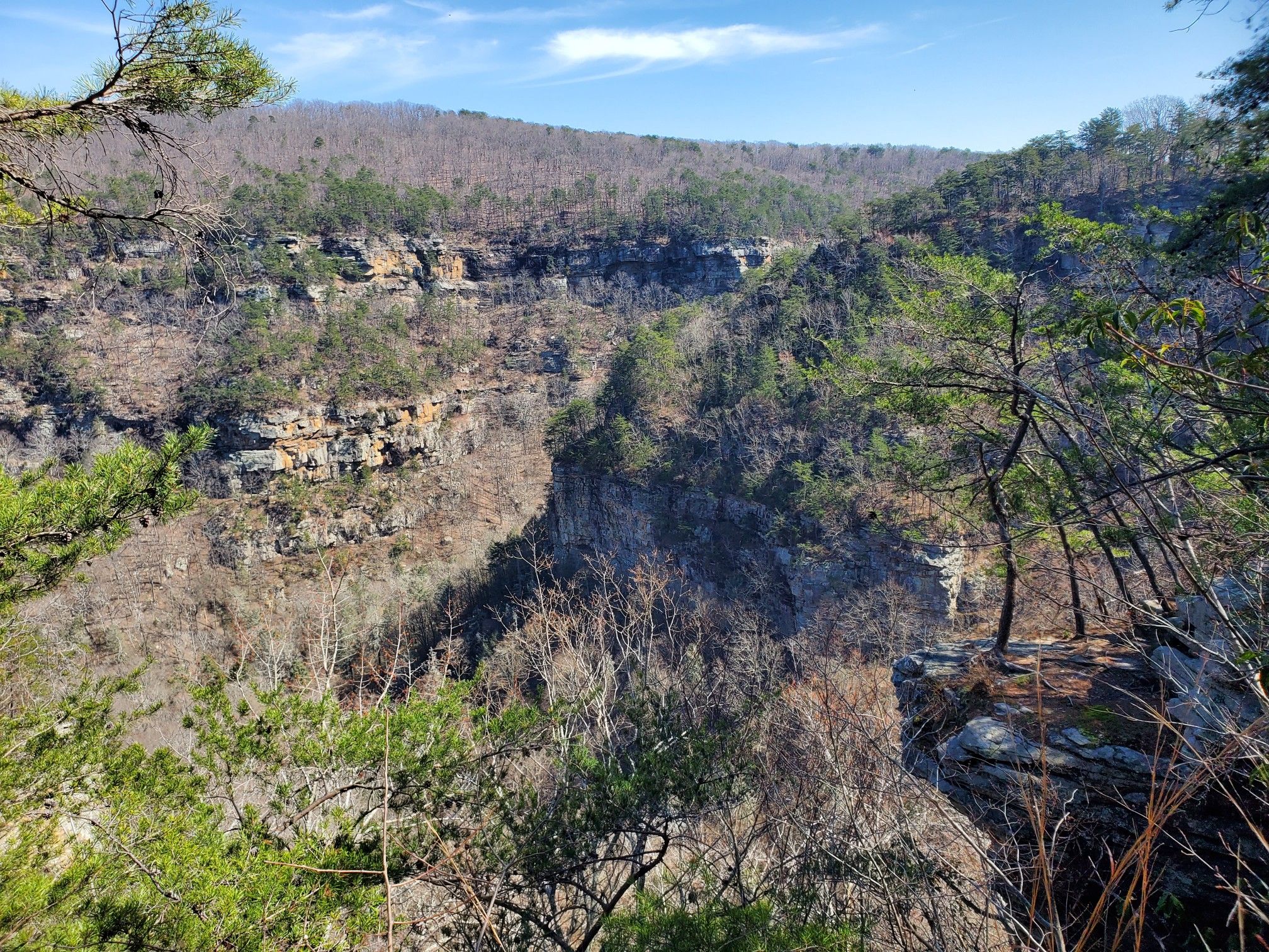 Wide canyon with rocky cliffs and bare trees under a bright blue sky. - West Rim Loop and Waterfalls Trail