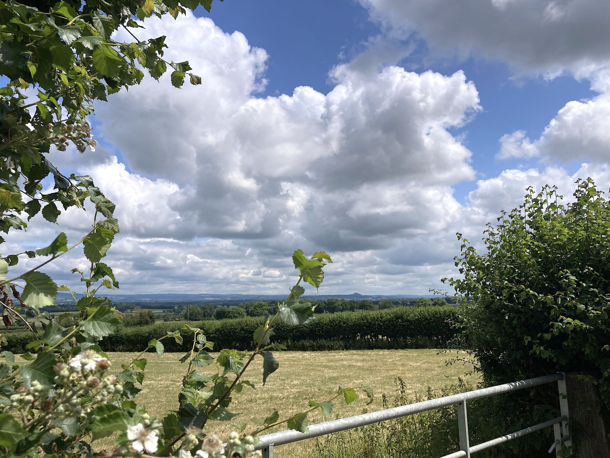 Glastonbury Tor on the horizon
