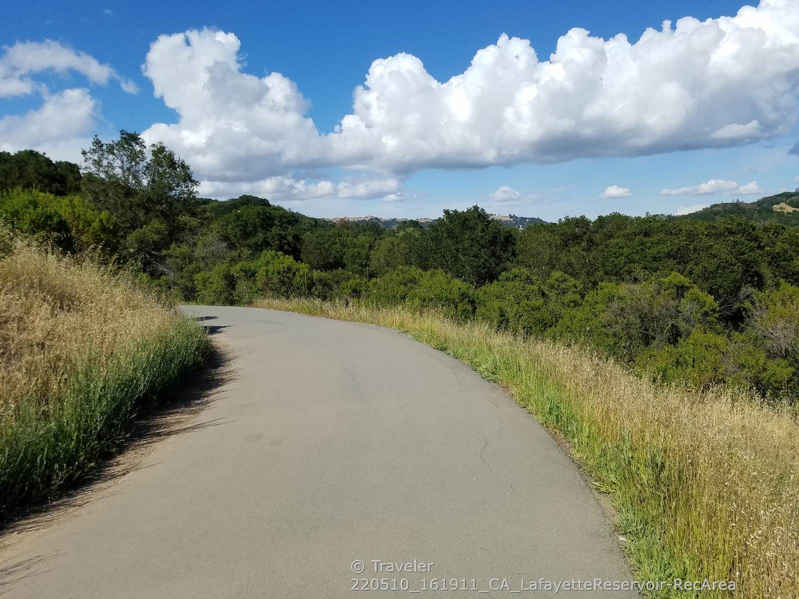 Paved road curves through green and golden hills under a bright, cloudy sky. - Lakeside Nature Trail