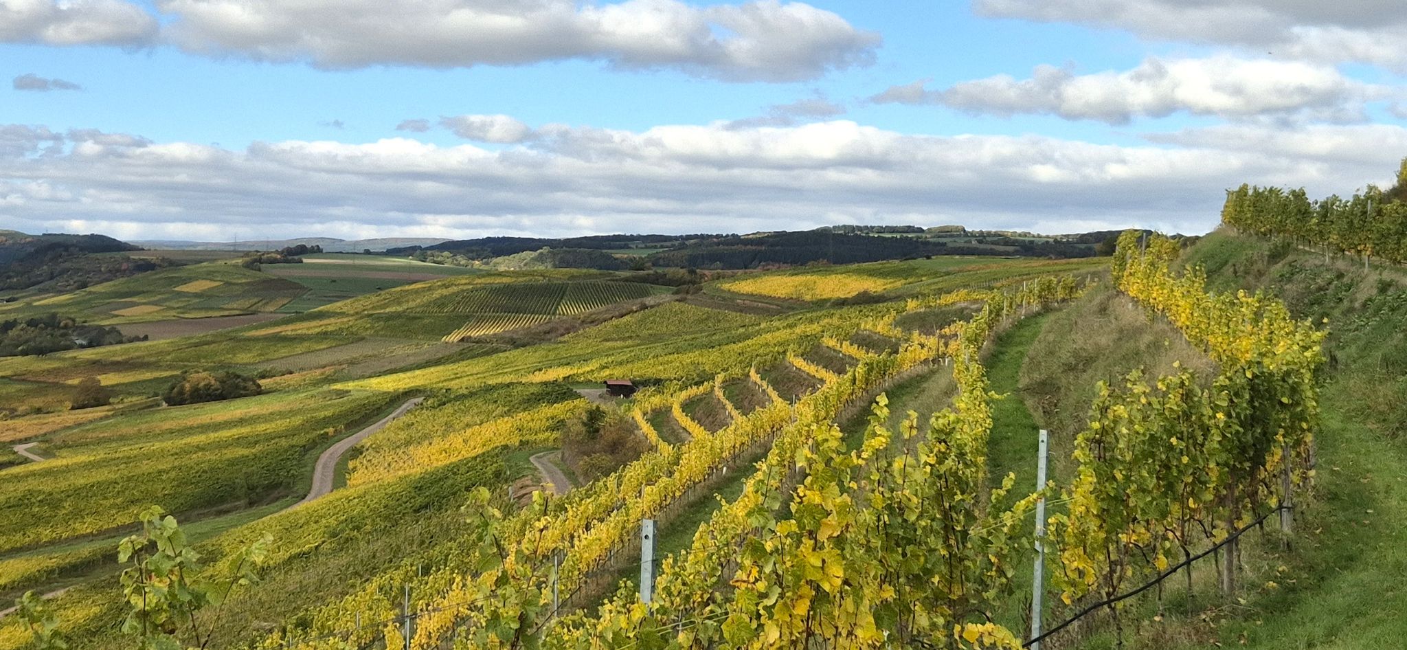 Herrlicher Ausblick ins Nahetal