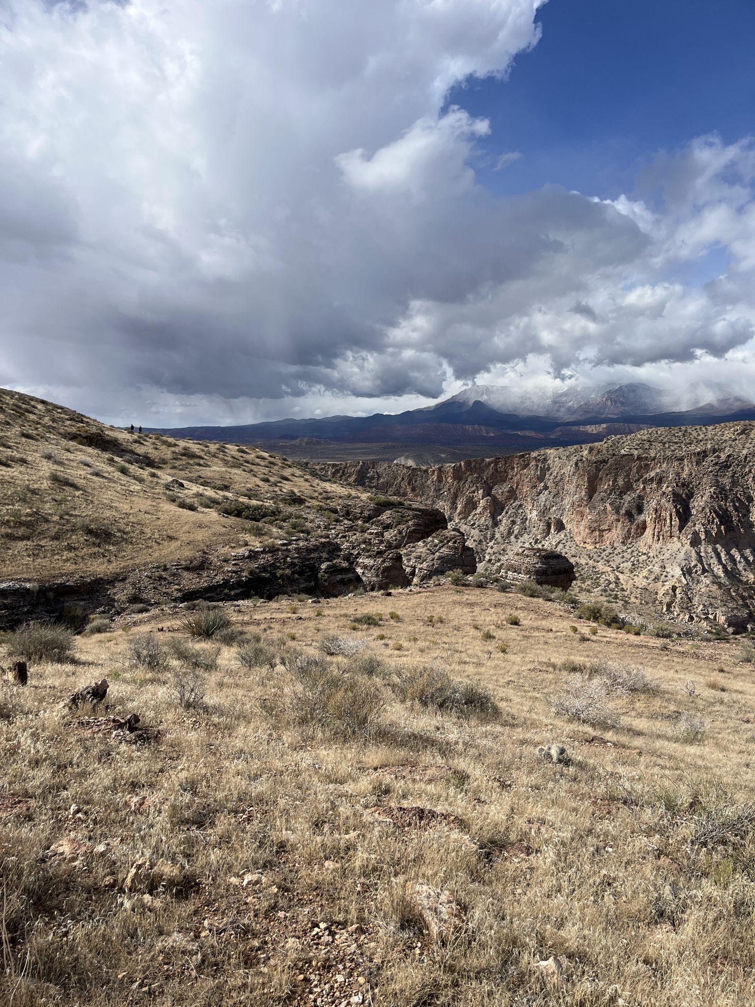 Grassy hills overlook a vast canyon and distant mountains under cloudy skies. - Hurricane Rim Trail loop from Hurricane