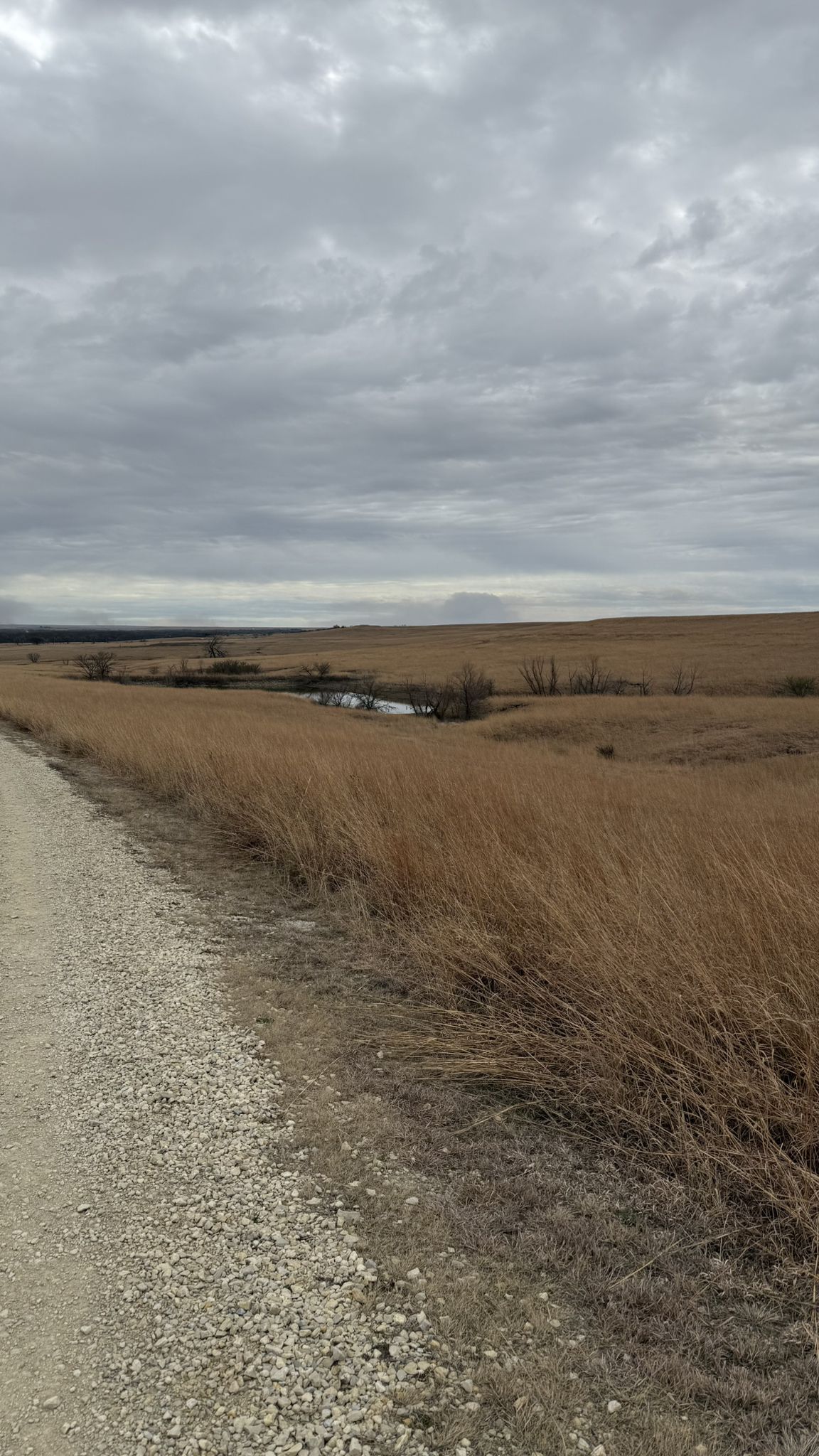 Gravel road beside dry golden grass leading to a pond under an overcast sky. - Scenic Overlook Trail
