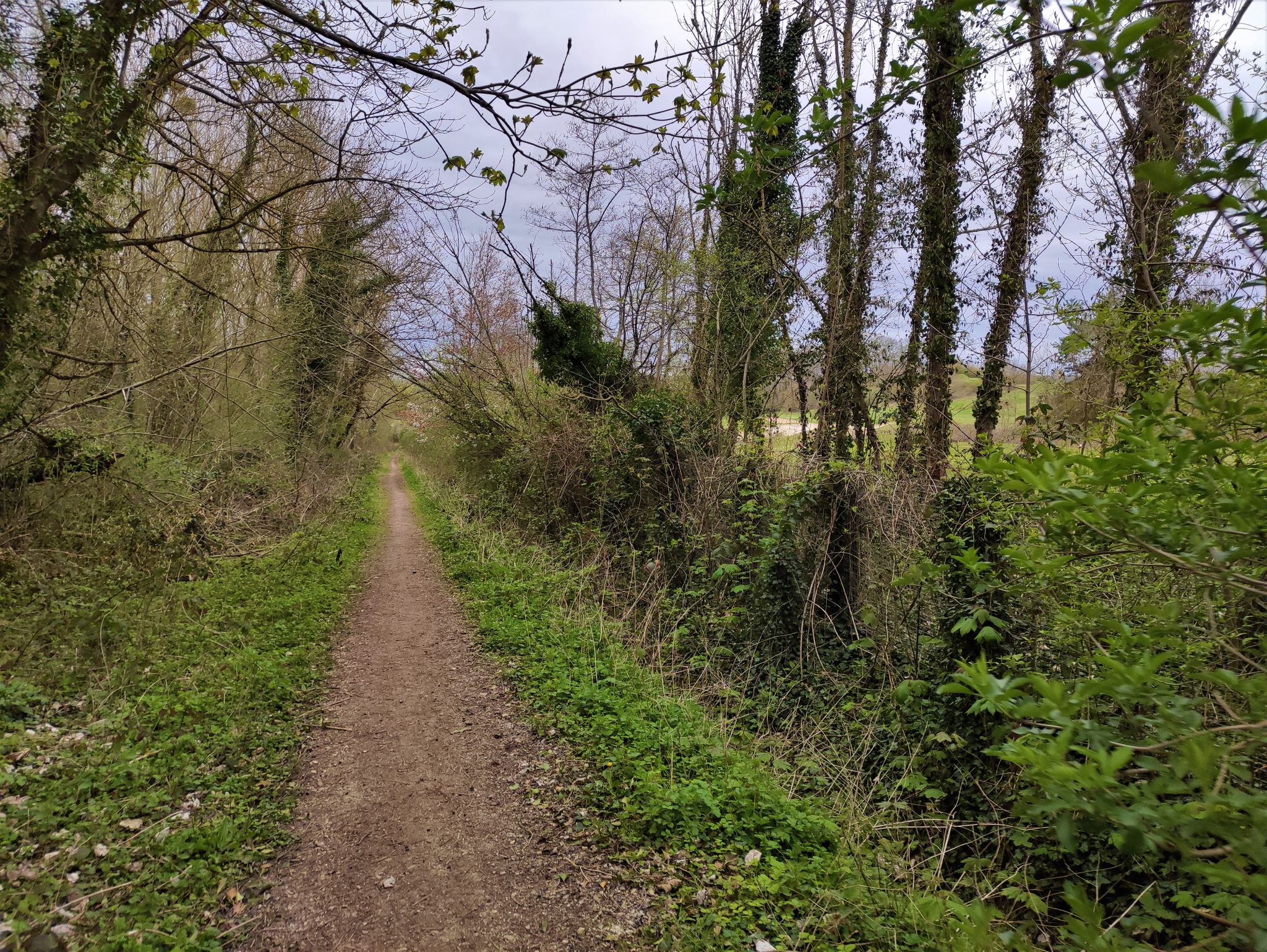 Chemin derrière le golf