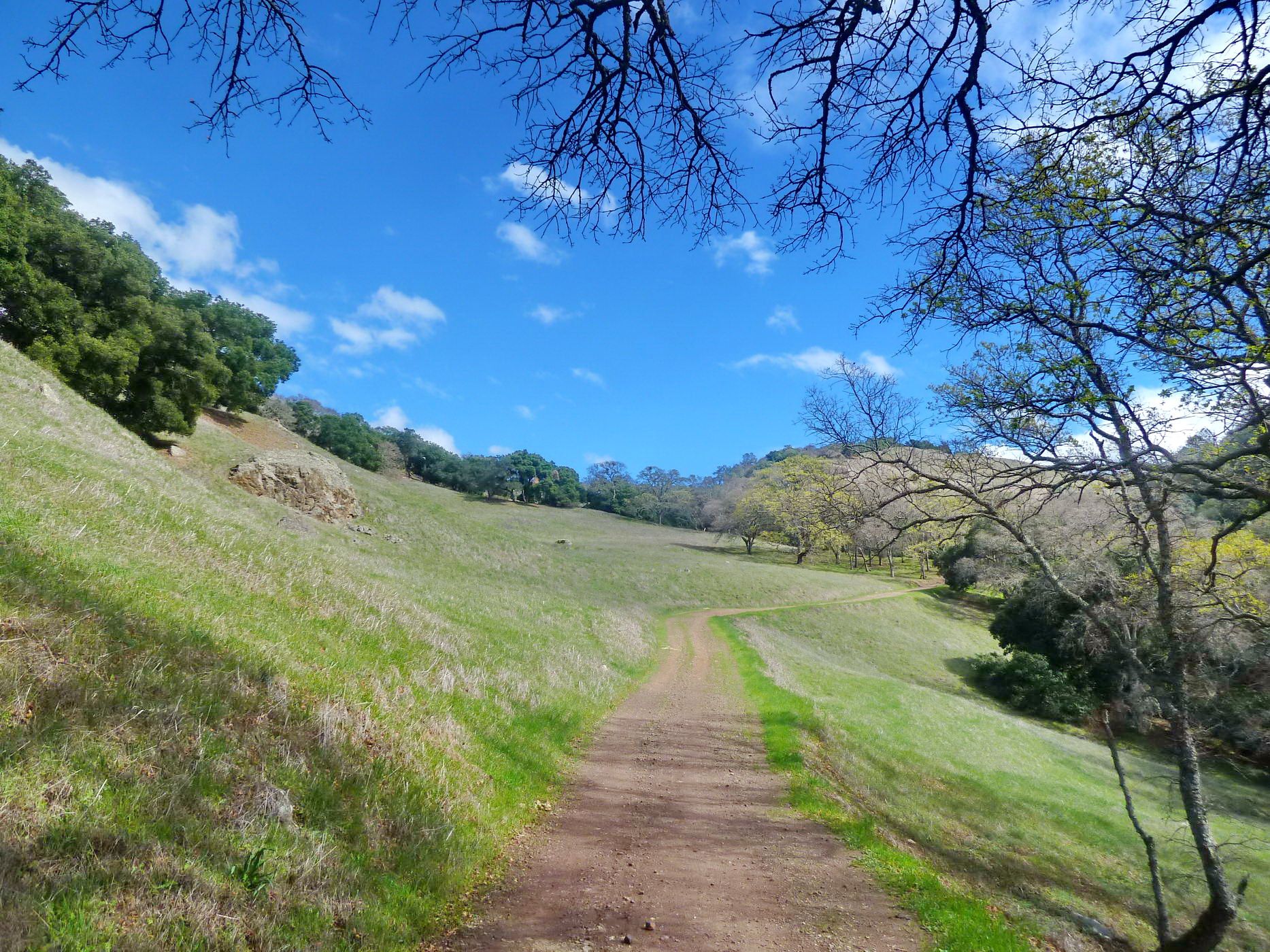 Dirt path through lush green hills with trees under a bright blue sky. - Castle Rock Recreation Area – Mammoth Rock loop from Diablo Foothills Regional Park