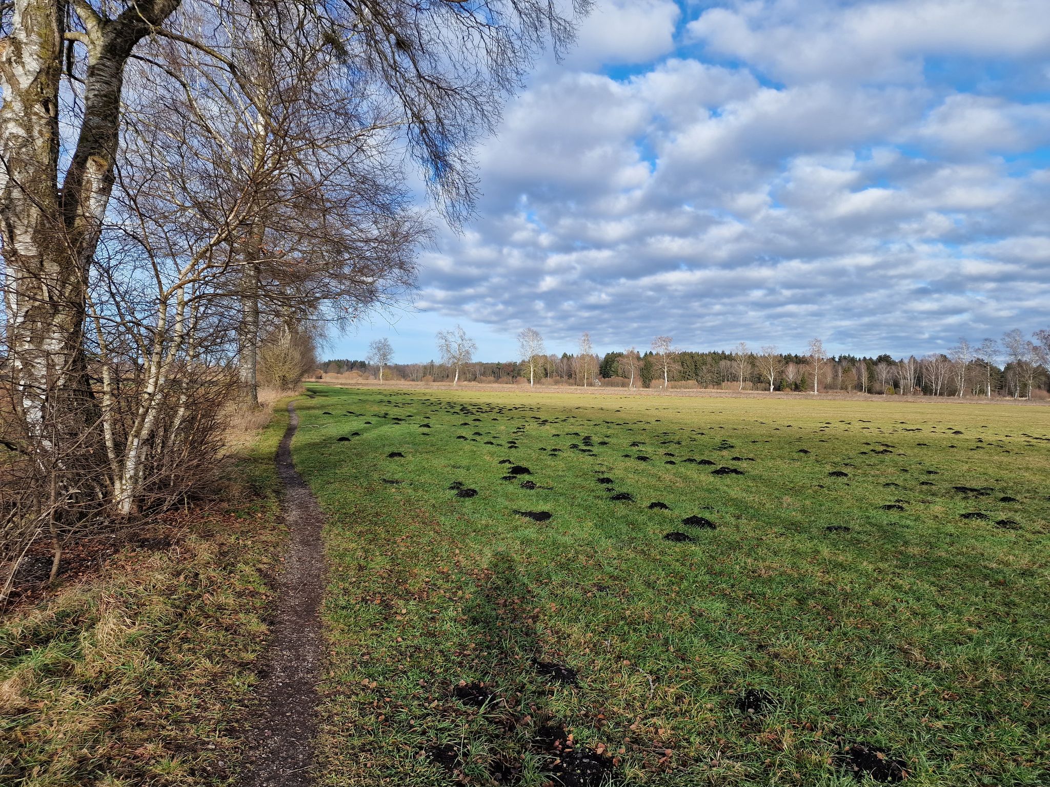 Single-Trail-Test