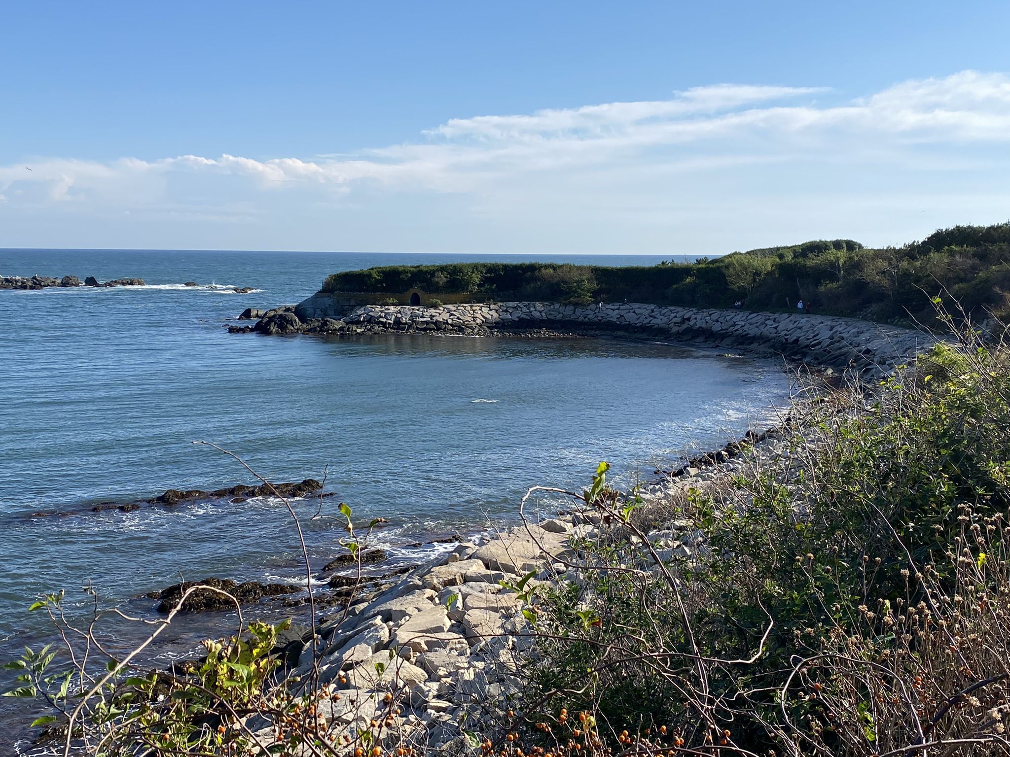 Sunny view of a calm blue cove with rocky shores and green foliage. - Cliff Walk