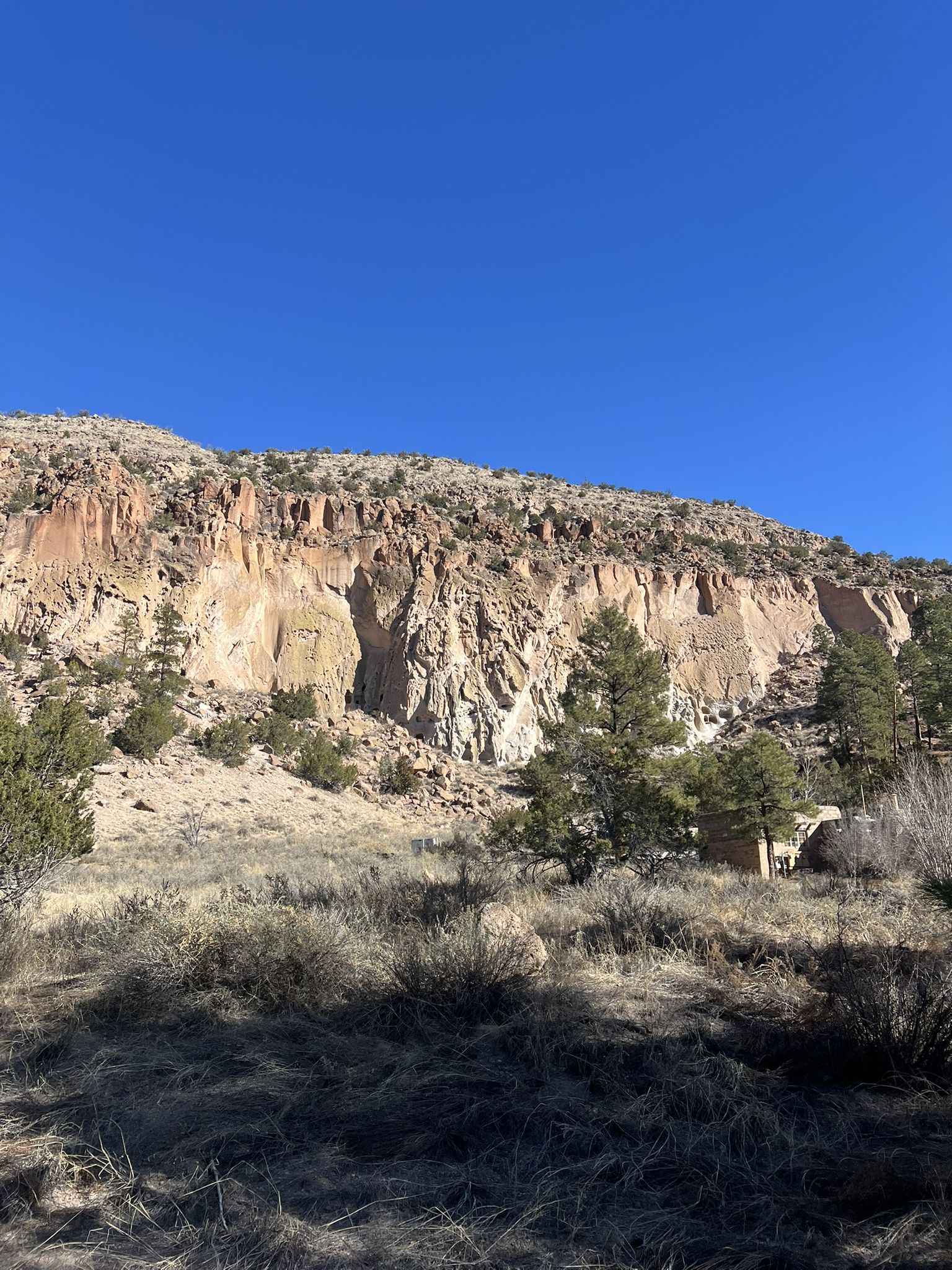 Distant mesa with cliff dwellings and sparse trees under a clear blue sky. - Frijoles Trail to Yapashi Pueblo ruins loop trail run