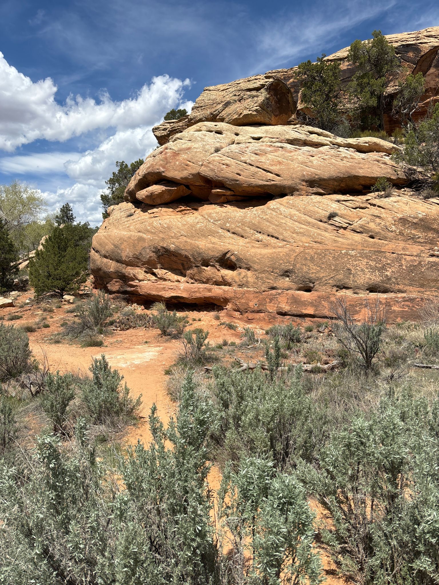 Layered red rock formations and desert shrubs beside a sandy path. - Mule Canyon Trail to House on Fire