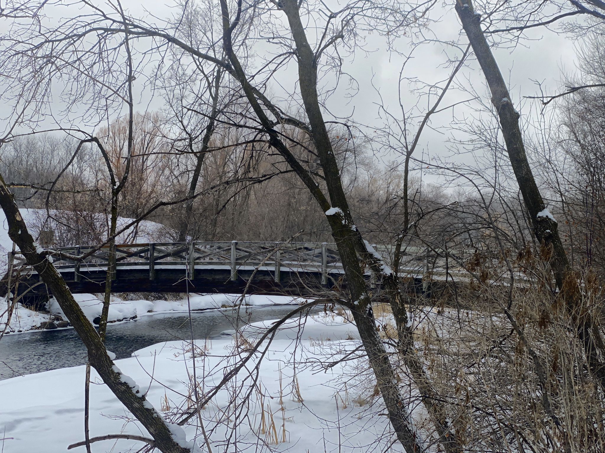 A wooden bridge crosses a partially frozen stream in a snowy, bare winter landscape. - 45 North Trail loop from Schaper Rd