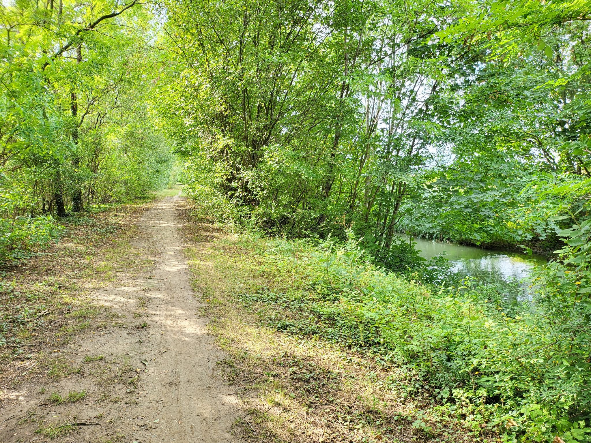 Marchfeldkanal