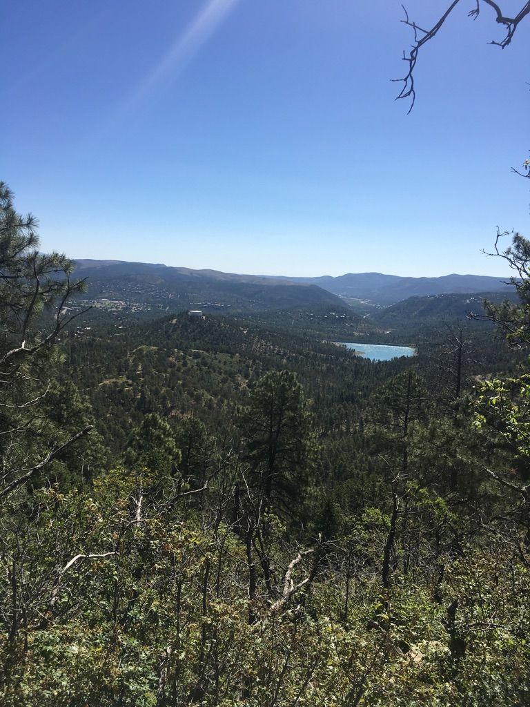 An expansive view of green forested mountains and a distant lake under a clear sky. - Alfred Hale Connector Trail