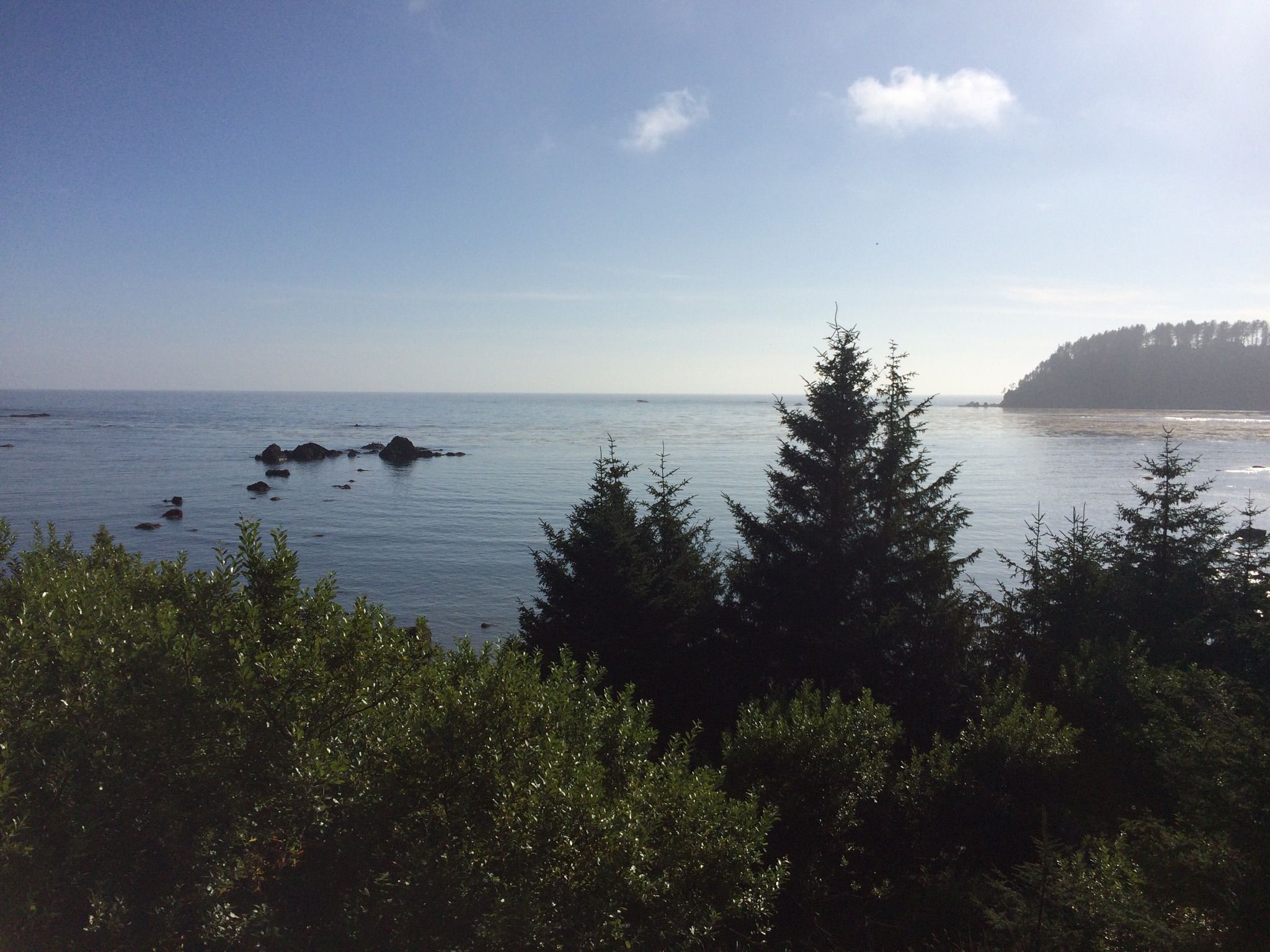 Ocean view over green trees, with distant land under a blue sky. - Cape Alva Trail – Cape Alava loop from Ozette