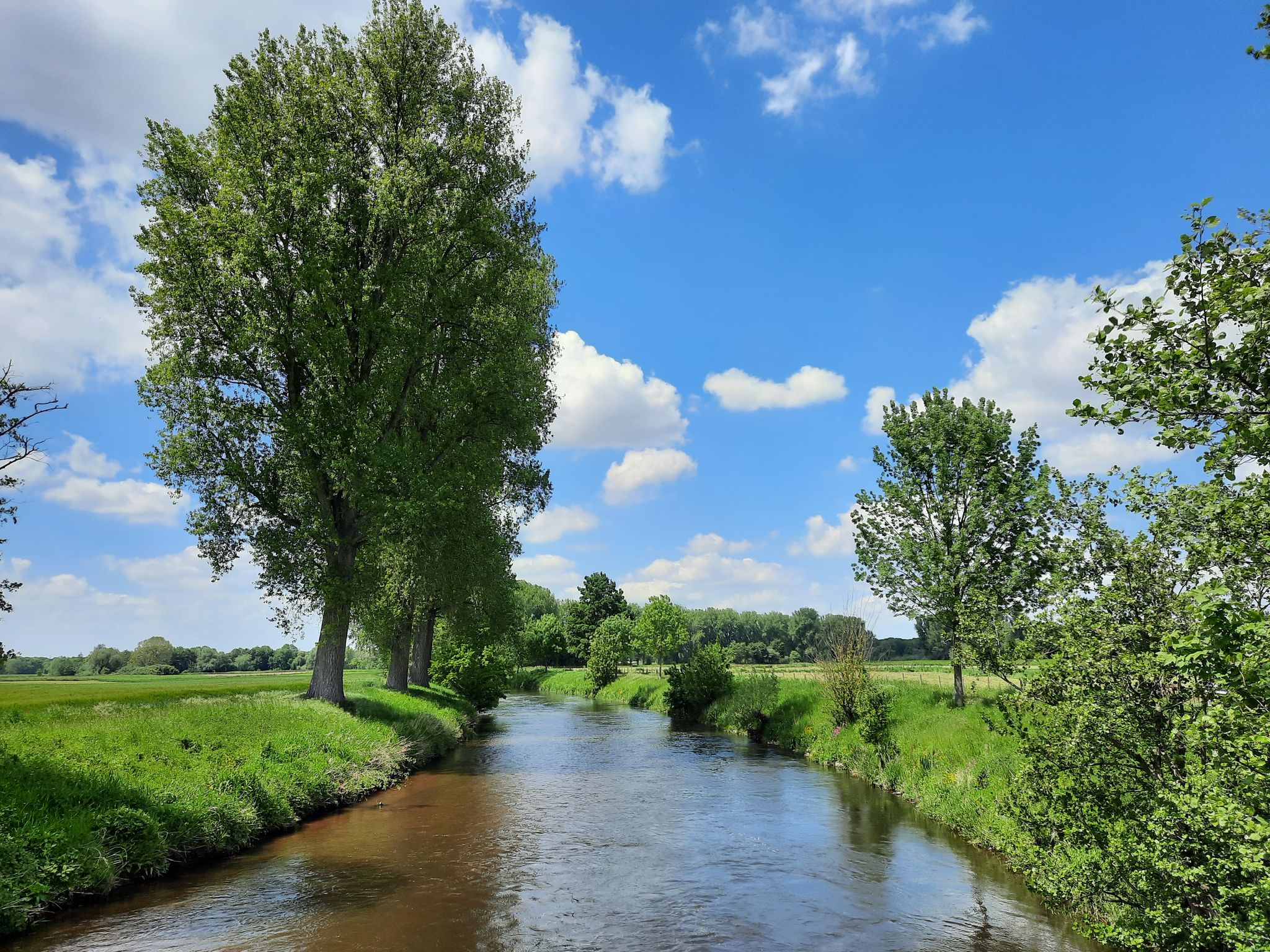 Der Fluss Rur