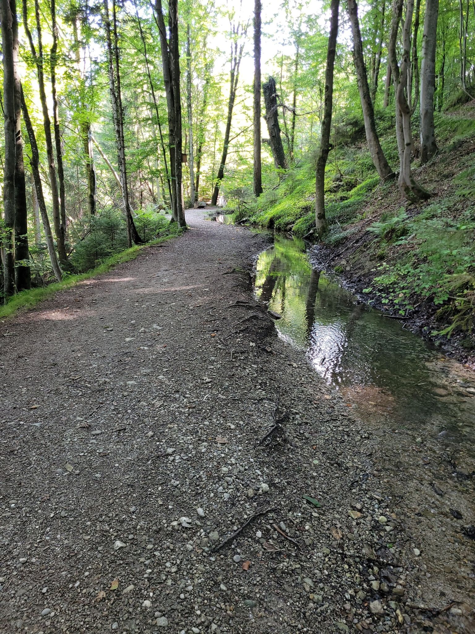Goldbach