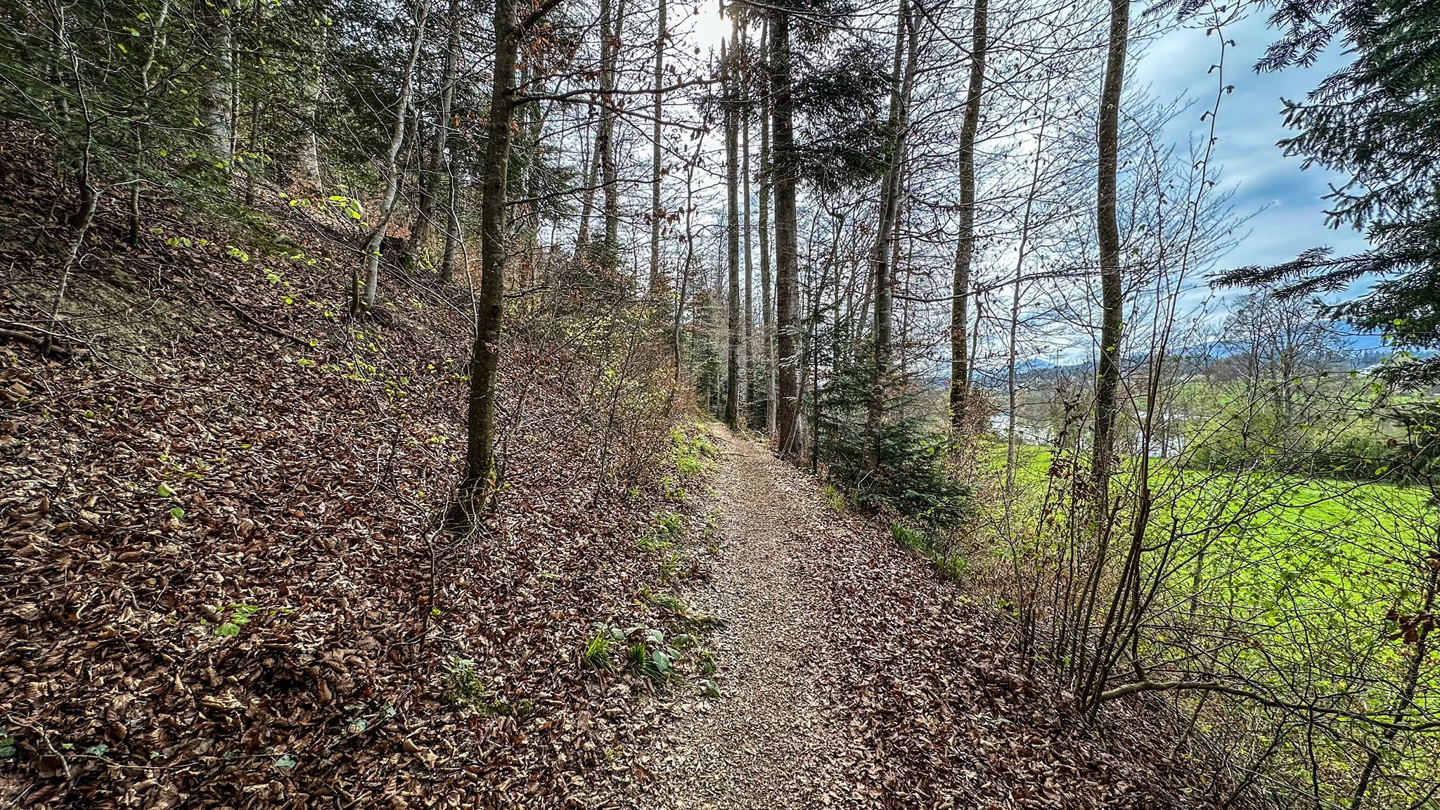 ...sehr fluffiger Trail und schön flach😉...