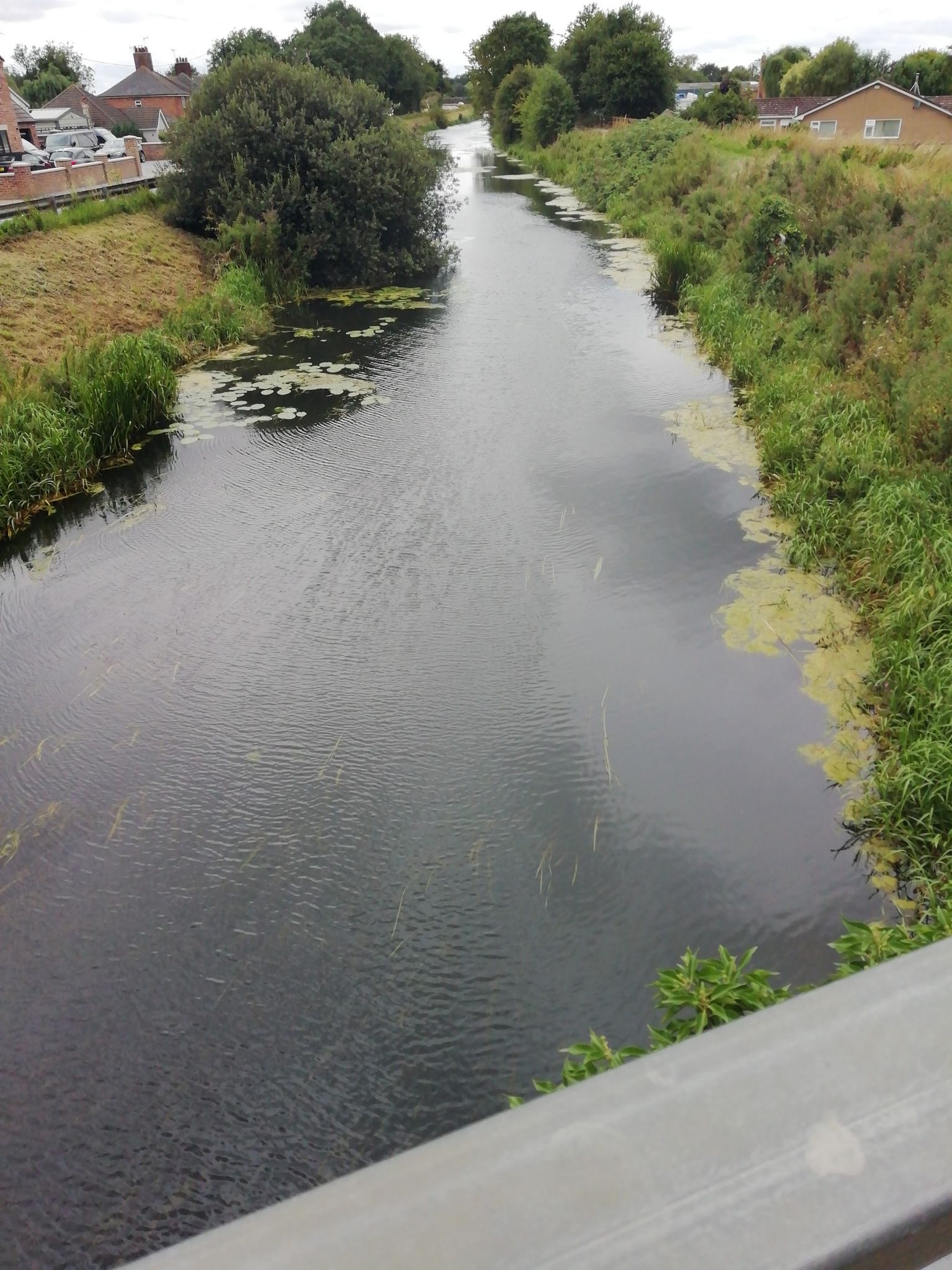 River Glen, back on Macmillan Way