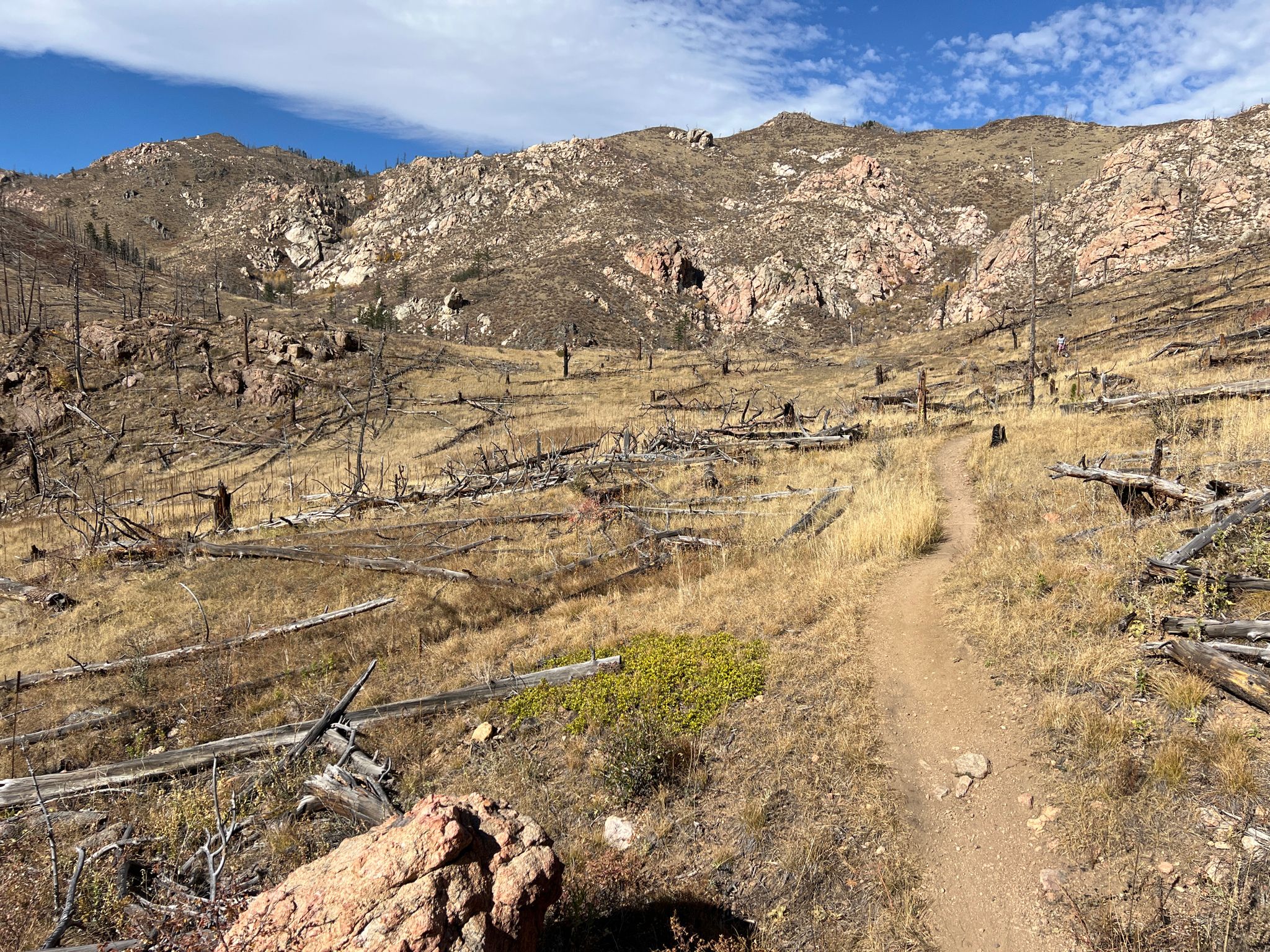 A dirt path winds through a dry, fire-scarred mountain valley under a bright sky. - Young Gulch Trail