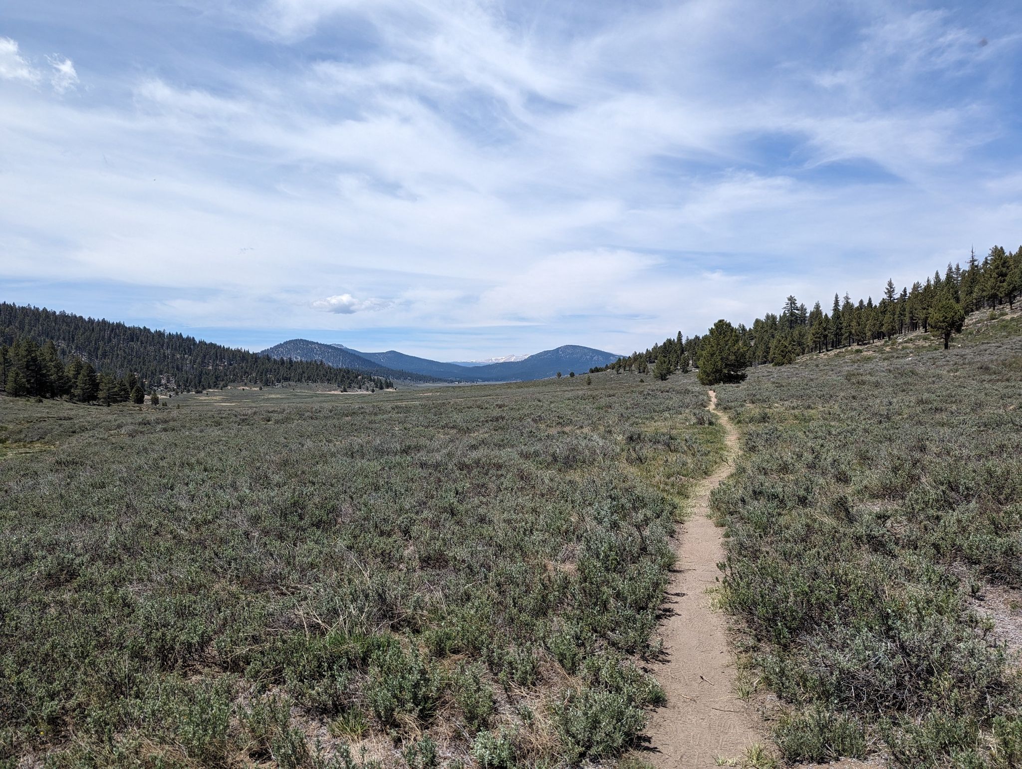 Dirt trail winds through a wide, shrub-filled valley under a cloudy sky. - Pacific Crest Trail: California Section G