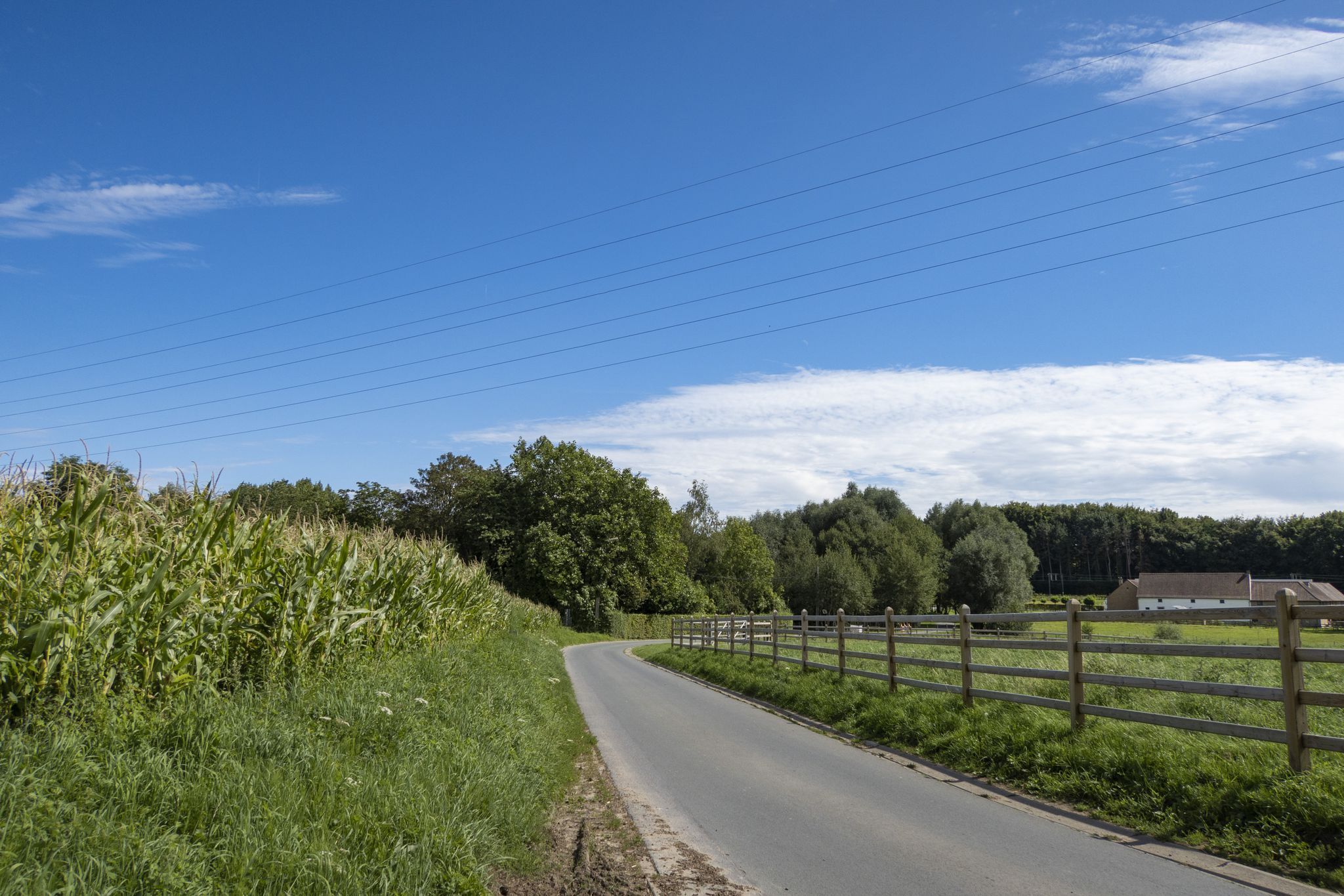 Over de rustige asfaltwegen bij Sint-Martens-Bodegem