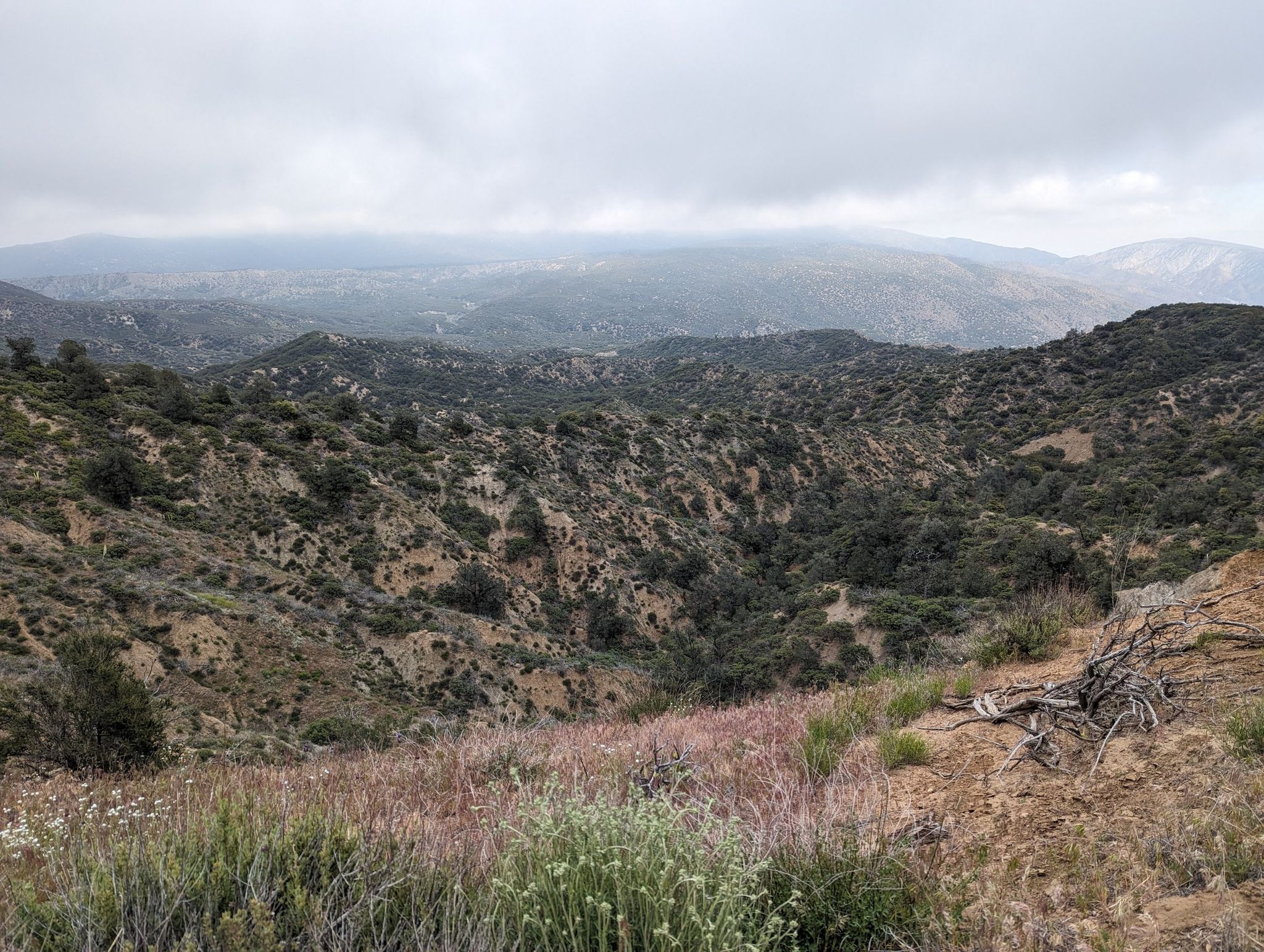 Overcast view of rolling, vegetated hills and a distant valley. - Pacific Crest National Scenic Trail