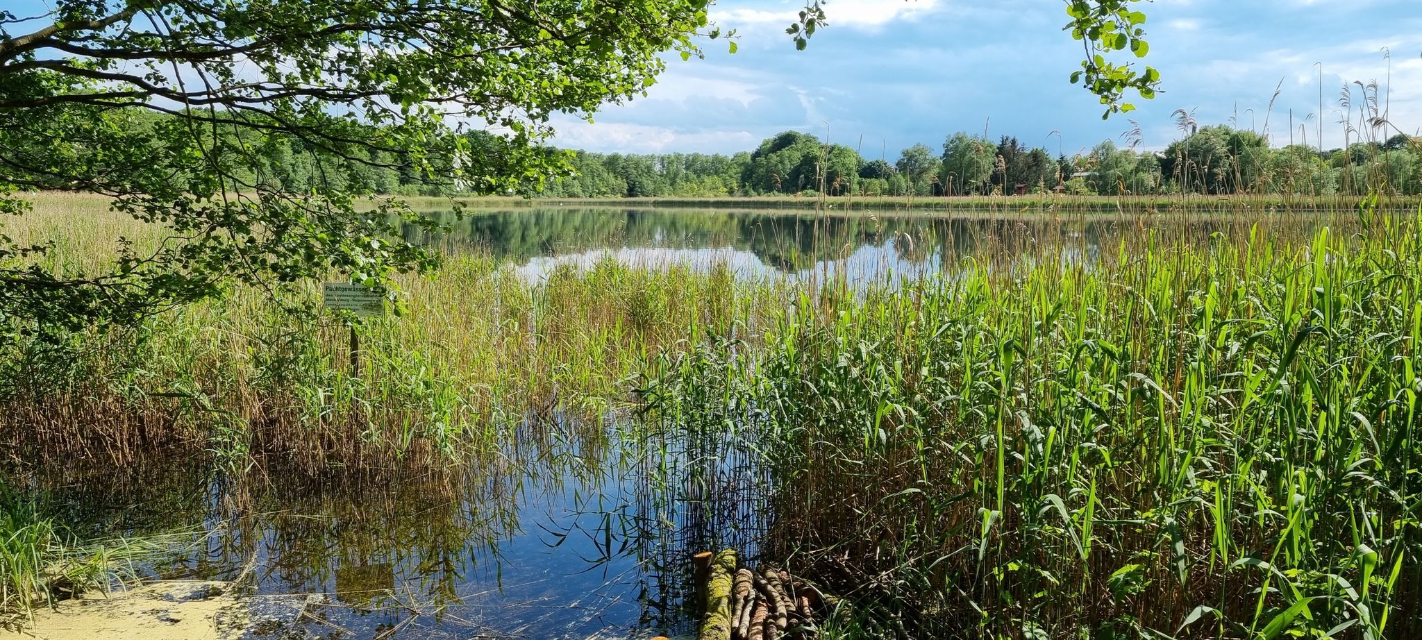 Hofsee Federow