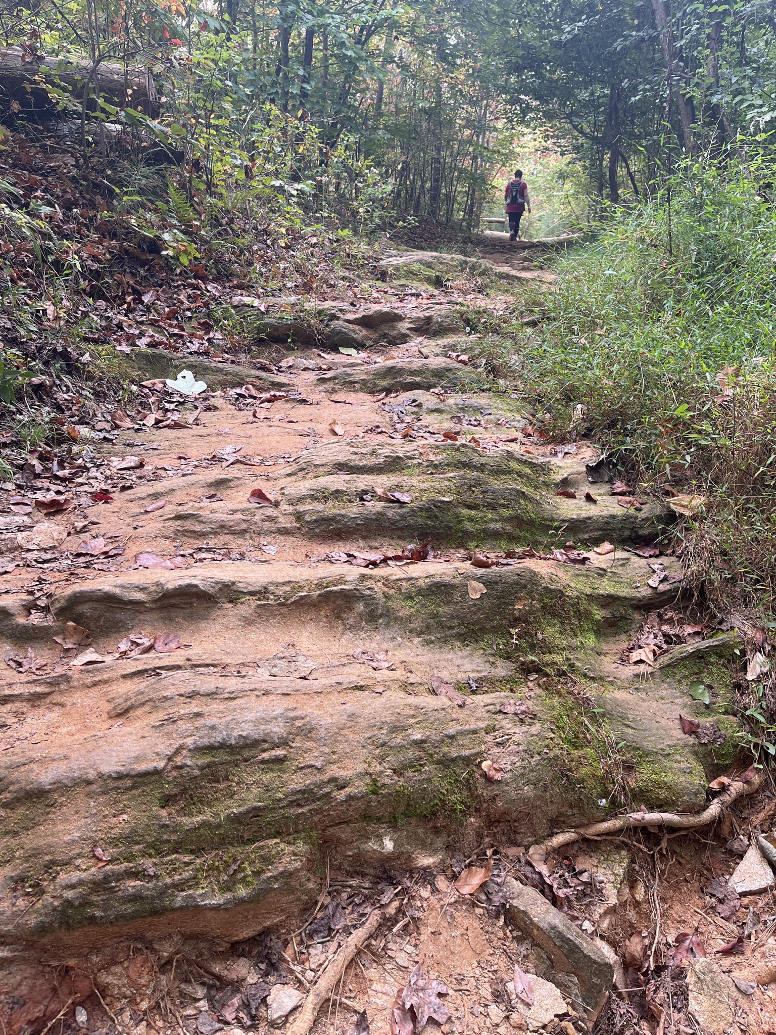 Person walks up a rocky, dirt path through a green forest. - Sibley Pond loop from Cochran Shoals Unit - Sope Creek Parking Lot
