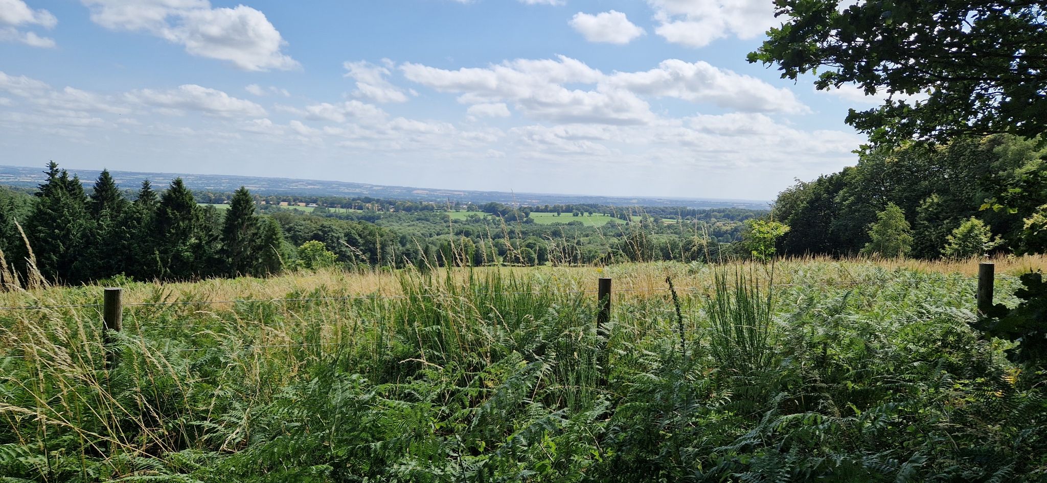 campagne normandie-Orne