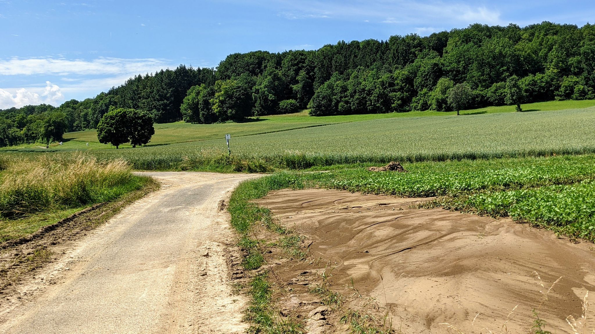 Radweg zwischen Bödigheim und Seckach: der Hang hat geschwemmt
