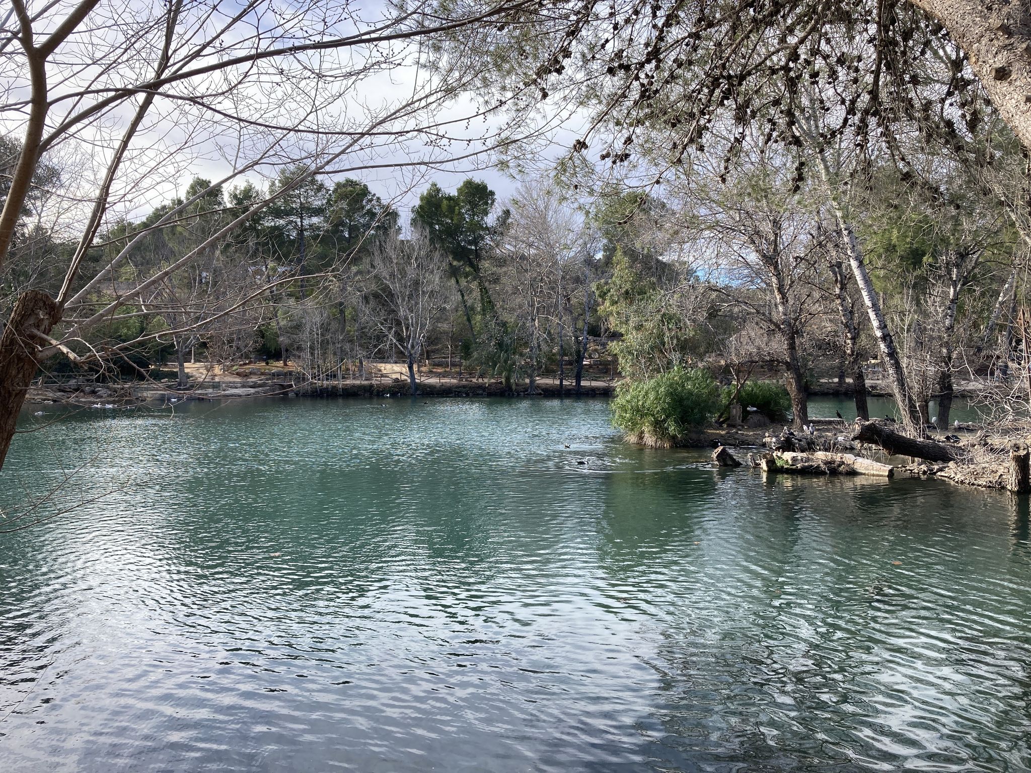 La Albufera de Anna
