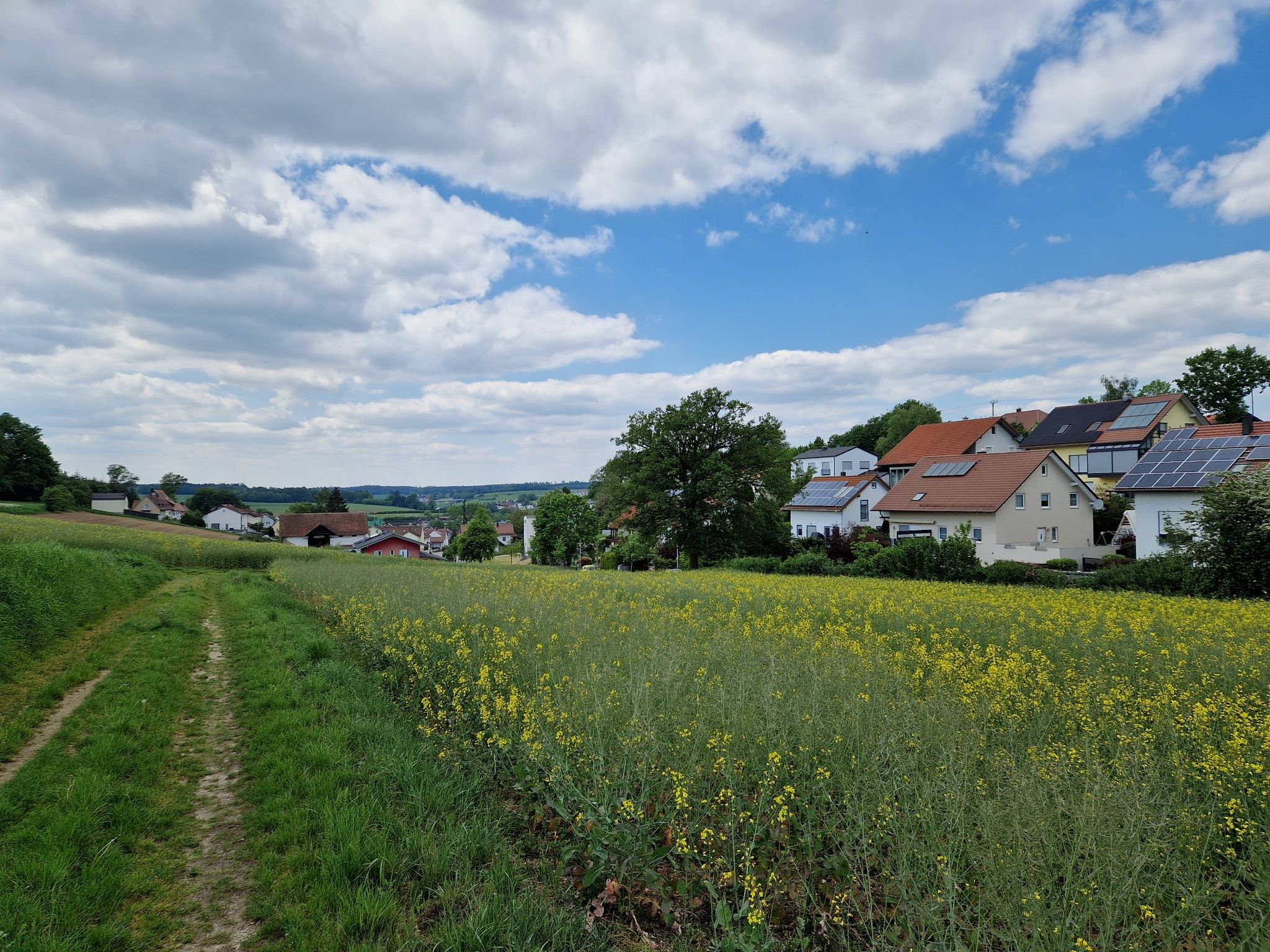 bmserbespo