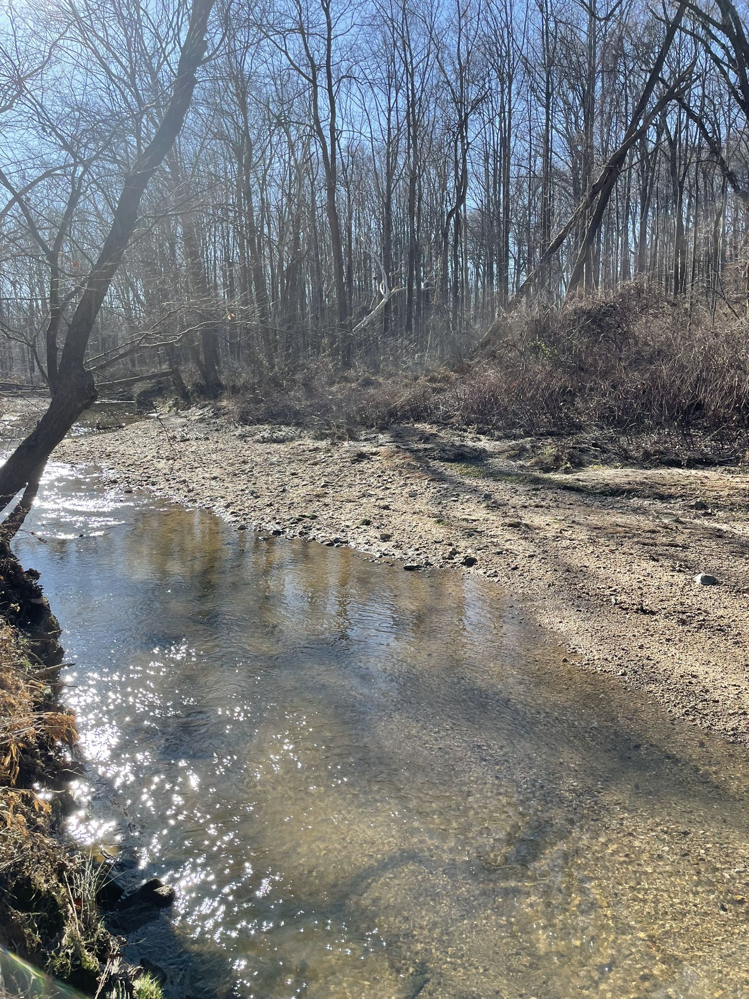 Shallow stream with sparkling water through a bare forest on a sunny day. - Beach Drive, Rock Creek Park – Francis Scott Key Bridge loop from Shaw–Howard University