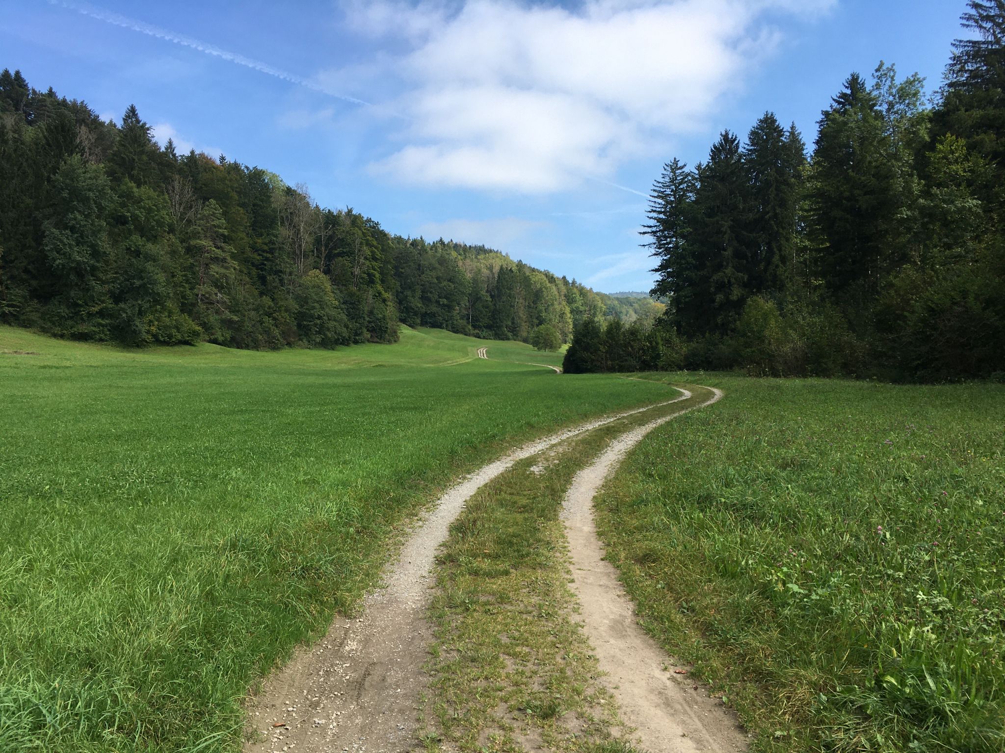 Wiesen-Strasse.