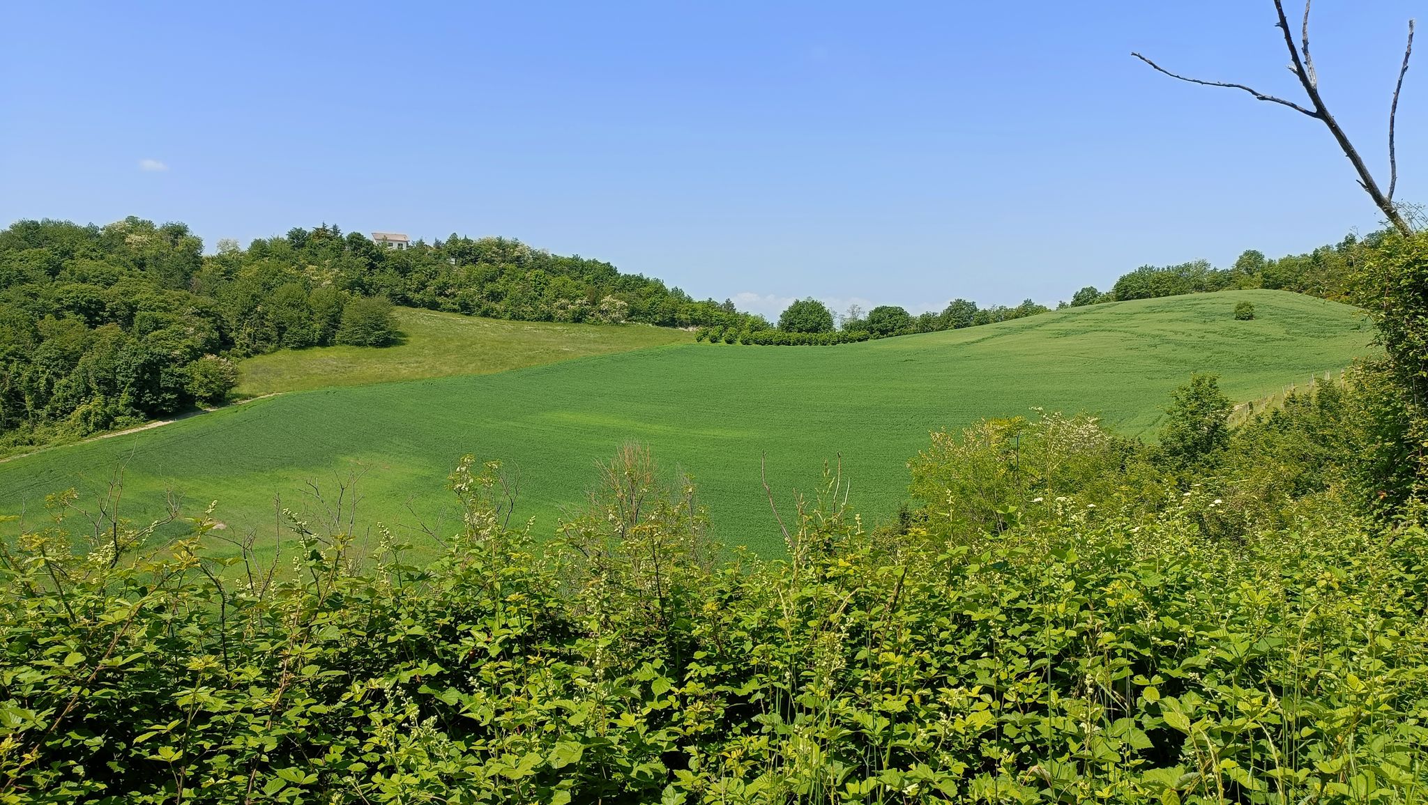 Paesaggi del Monferrato