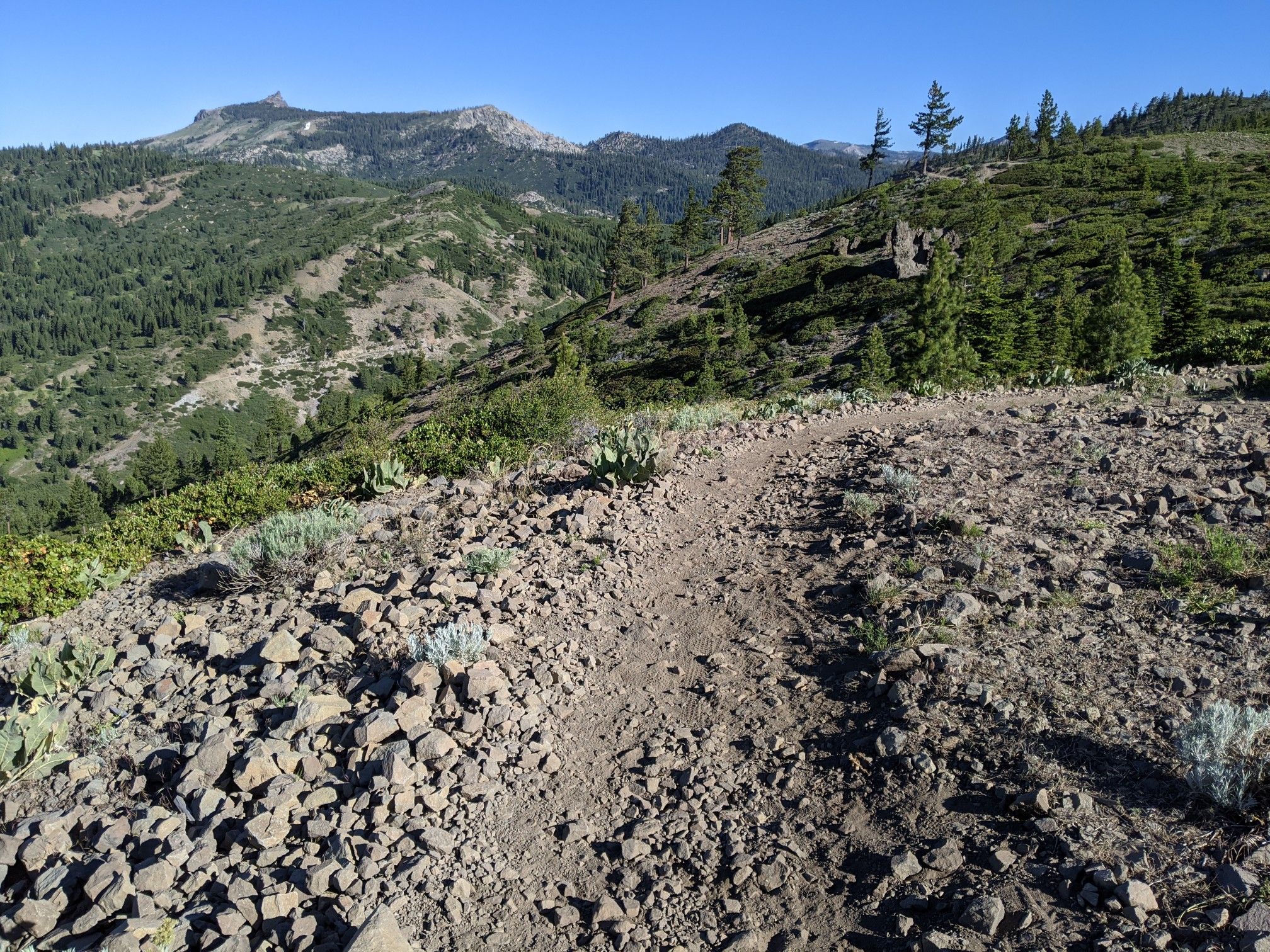 Rocky dirt trail winding through a sunny, forested mountain landscape. - Donner Ridge Peak – Glacier Way Trailhead loop from Glacier Way Parking