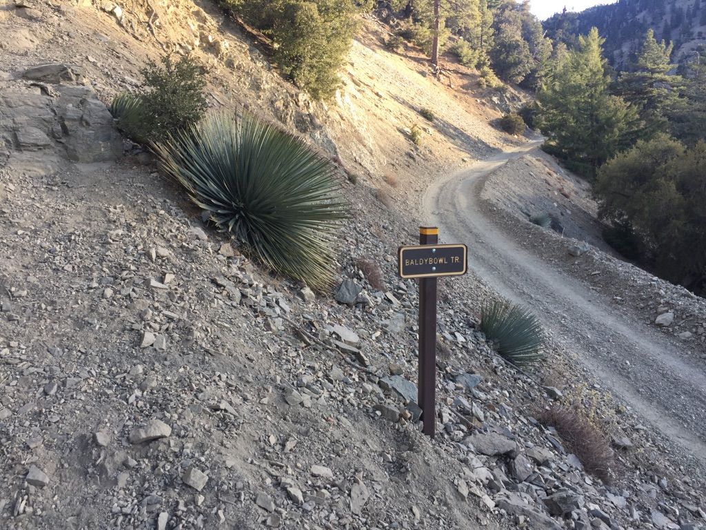Dirt road on a rocky hillside with a trail sign and yucca plant. - Baldy Bowl (Ski Hut) Trail loop from Manker Flat