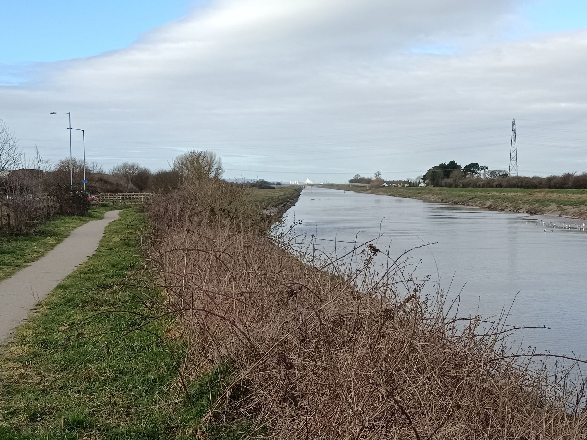 River view1