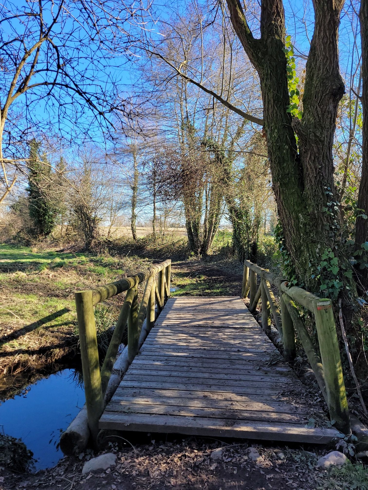 Petit pont sur le Biarré.