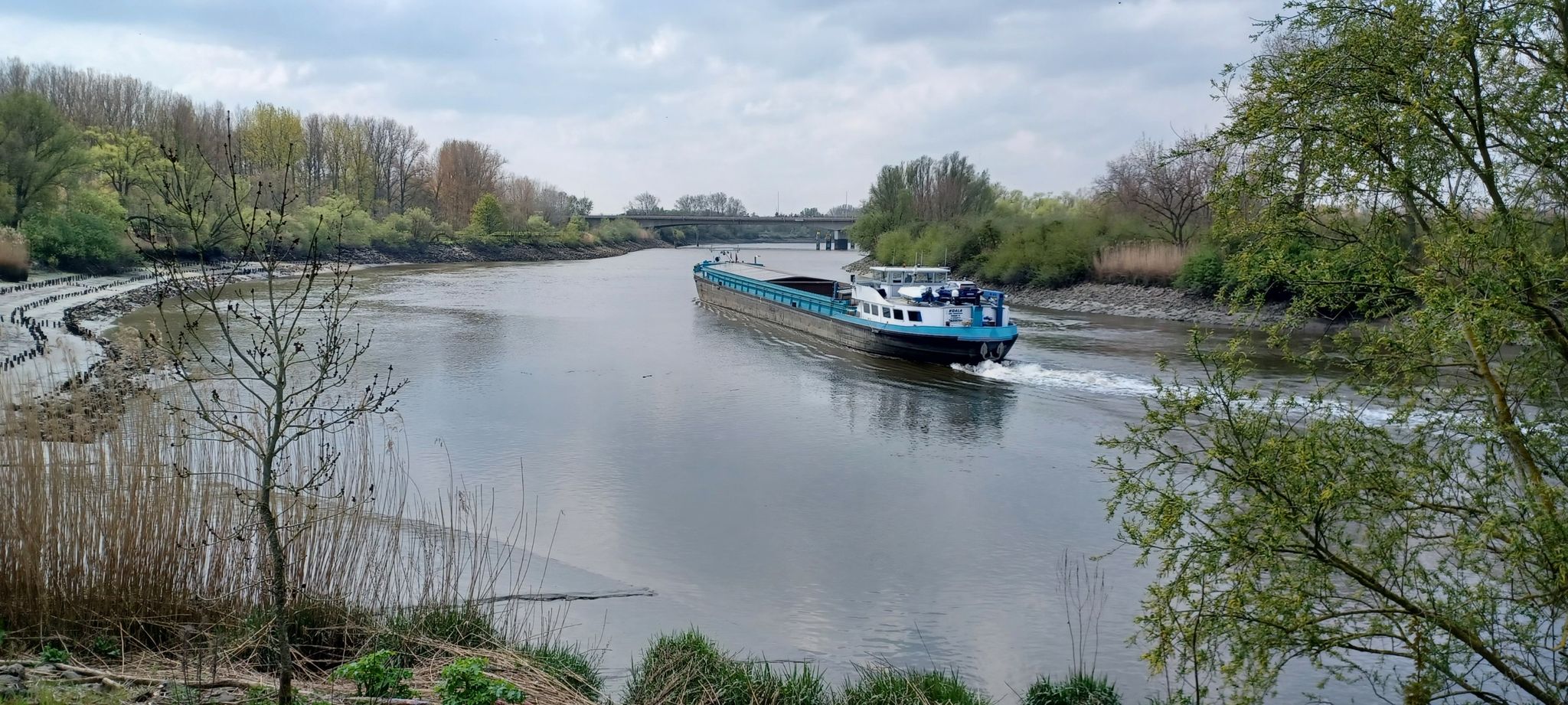 Schelde
