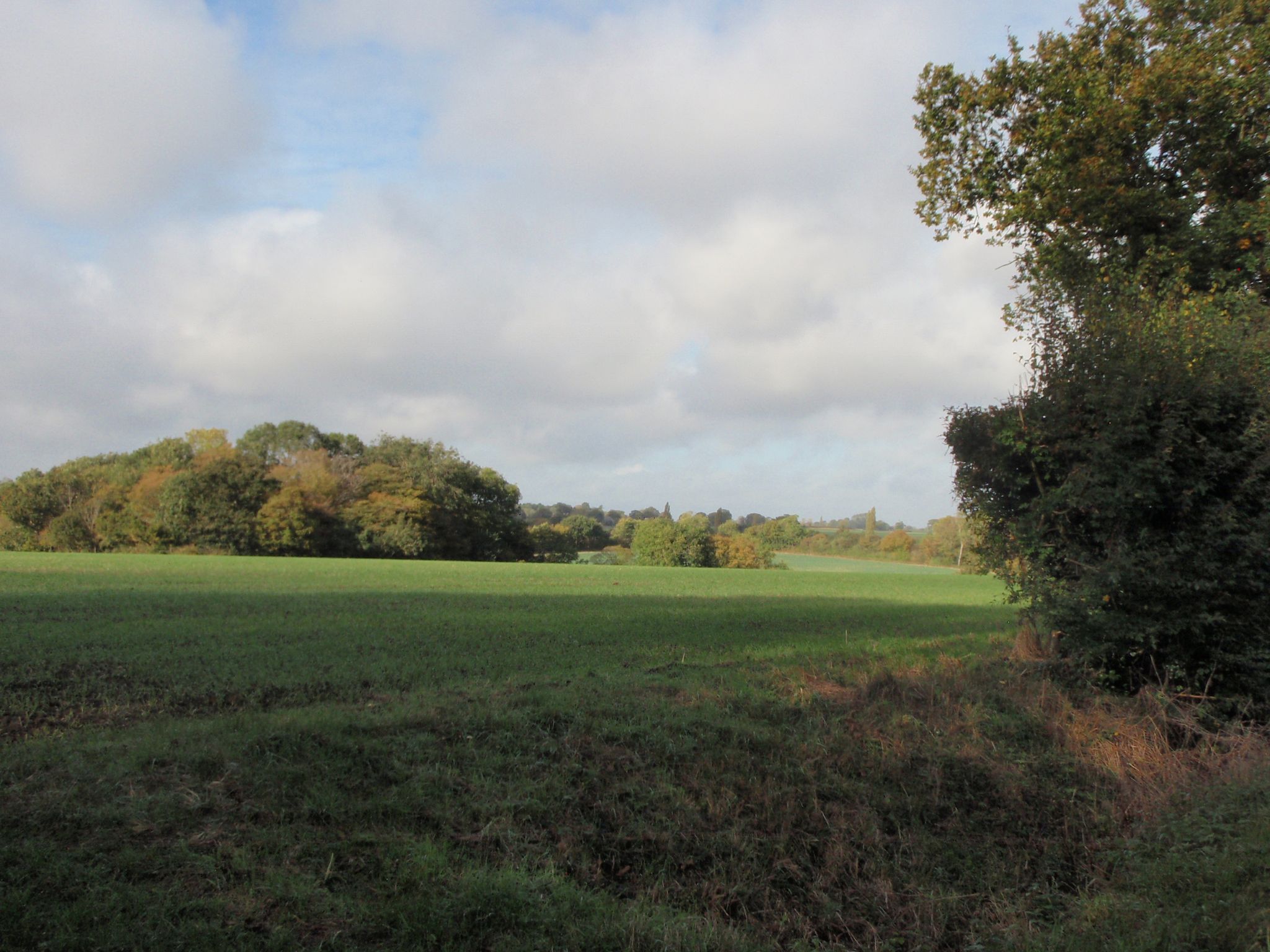 Rolling landscape, pretty flat. Mainly farmland.