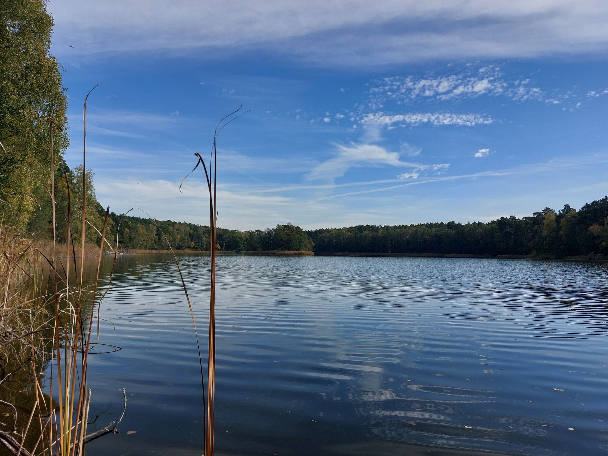 Blick auf den Schwansee.