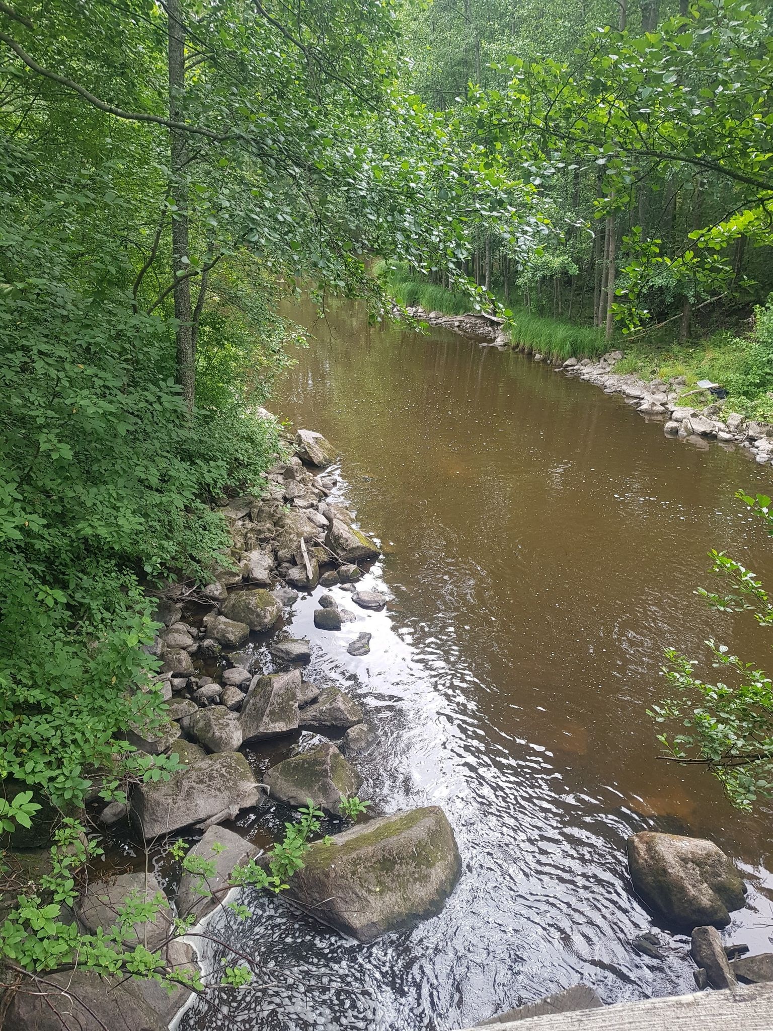 Dam